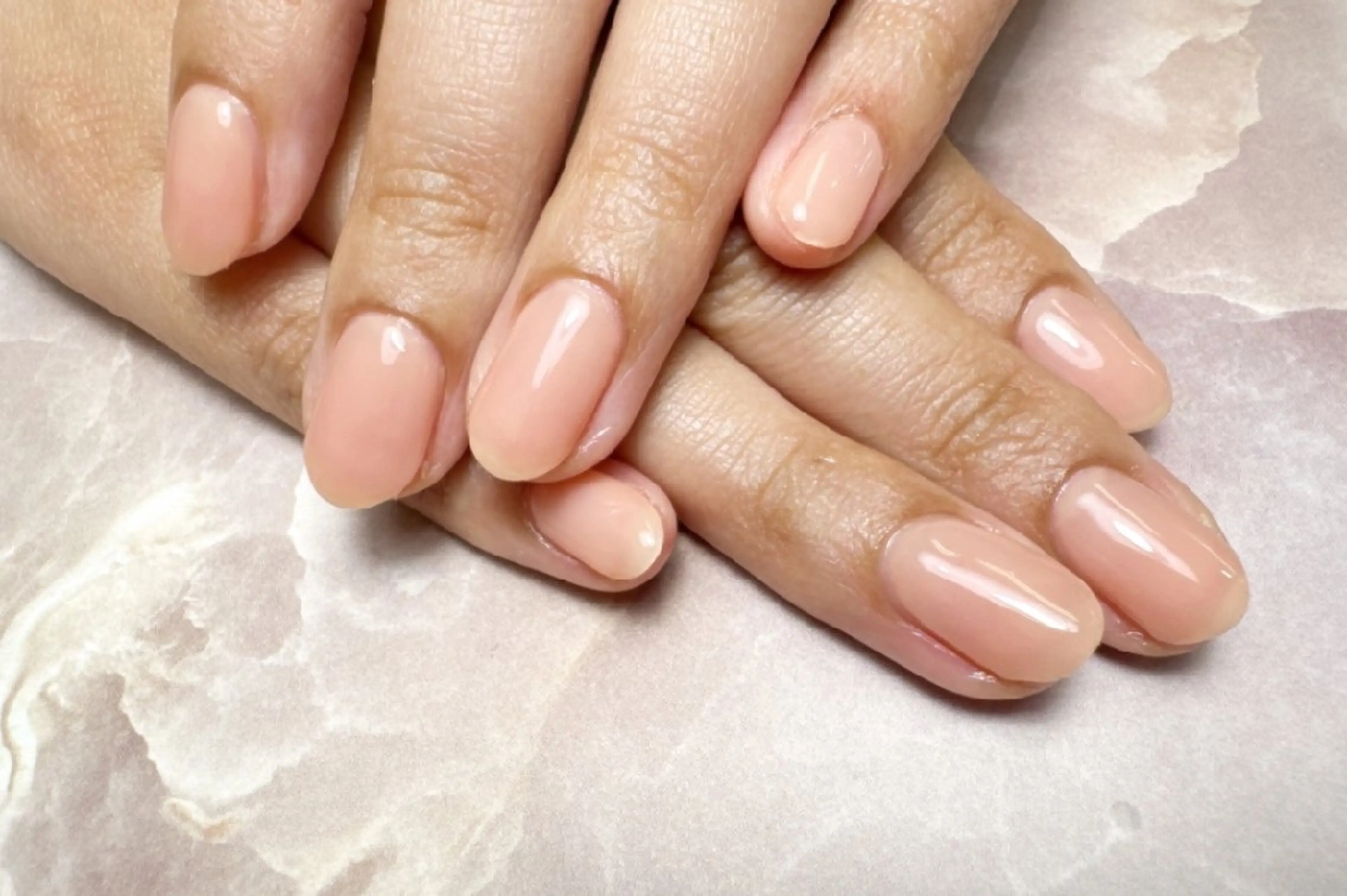 ワンカラーのみの写真