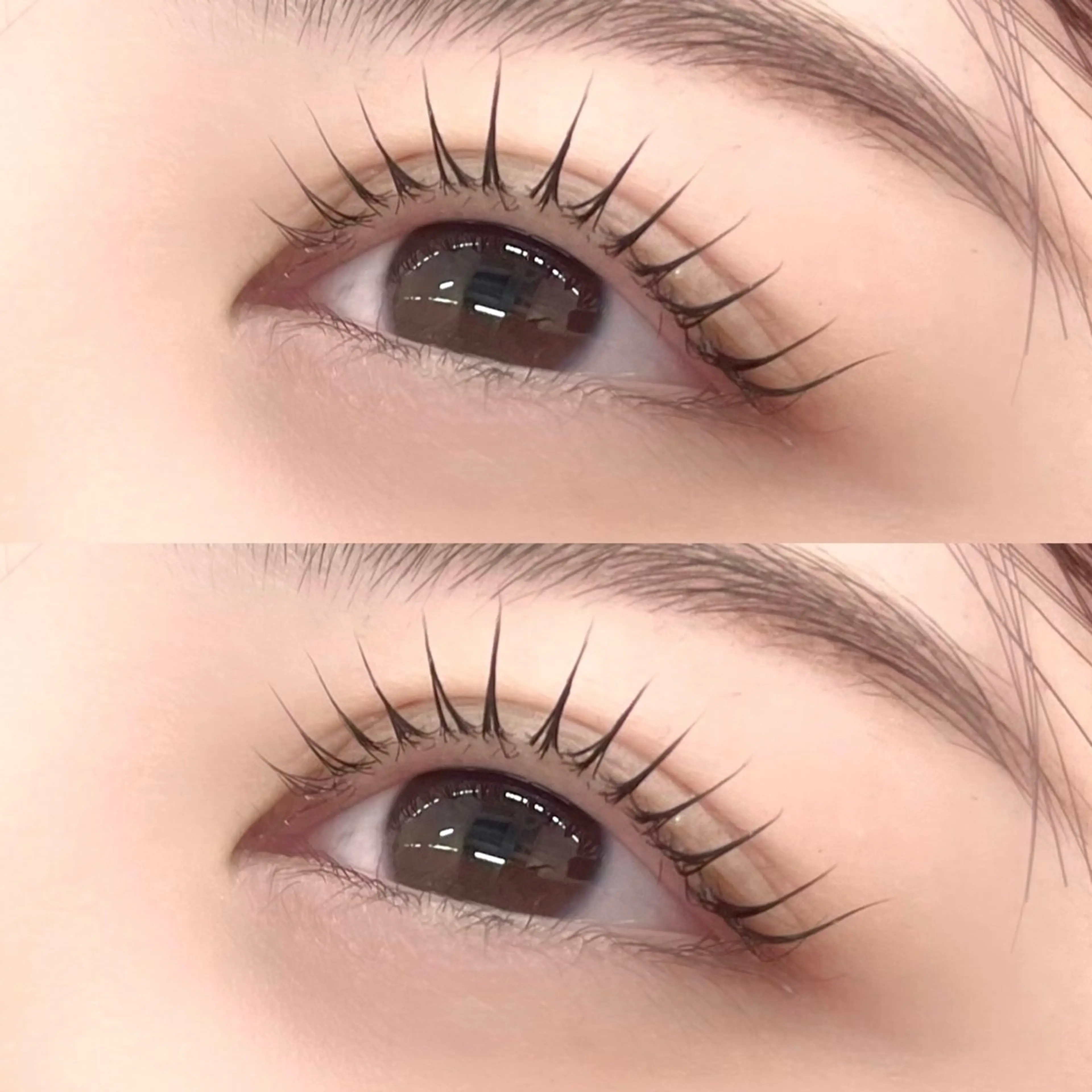 🌷新規限定🌷【ラッシュリフトorパリジェンヌラッシュリフト🫧】の写真