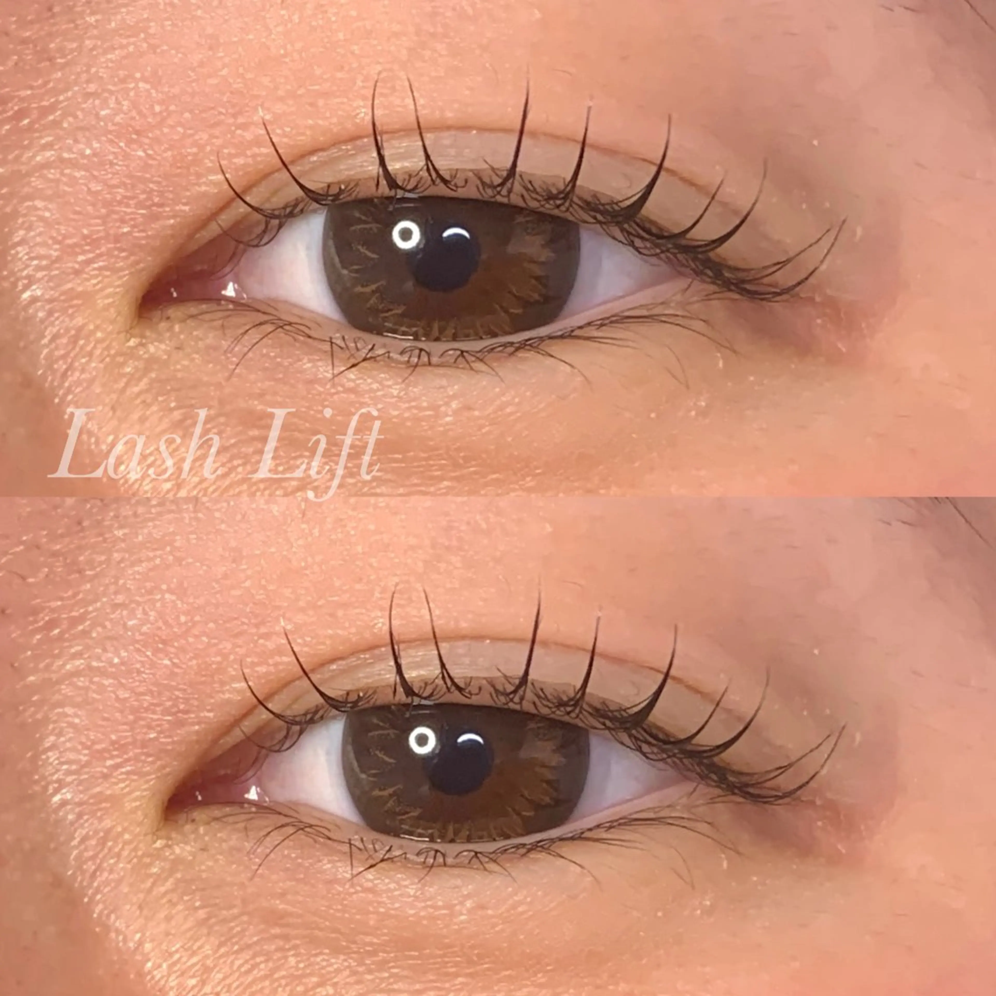 マツエク・マツパ まつげパーマ マツパ Ayumi.pro 🍆N《4階》のマツエク・マツパデザイン