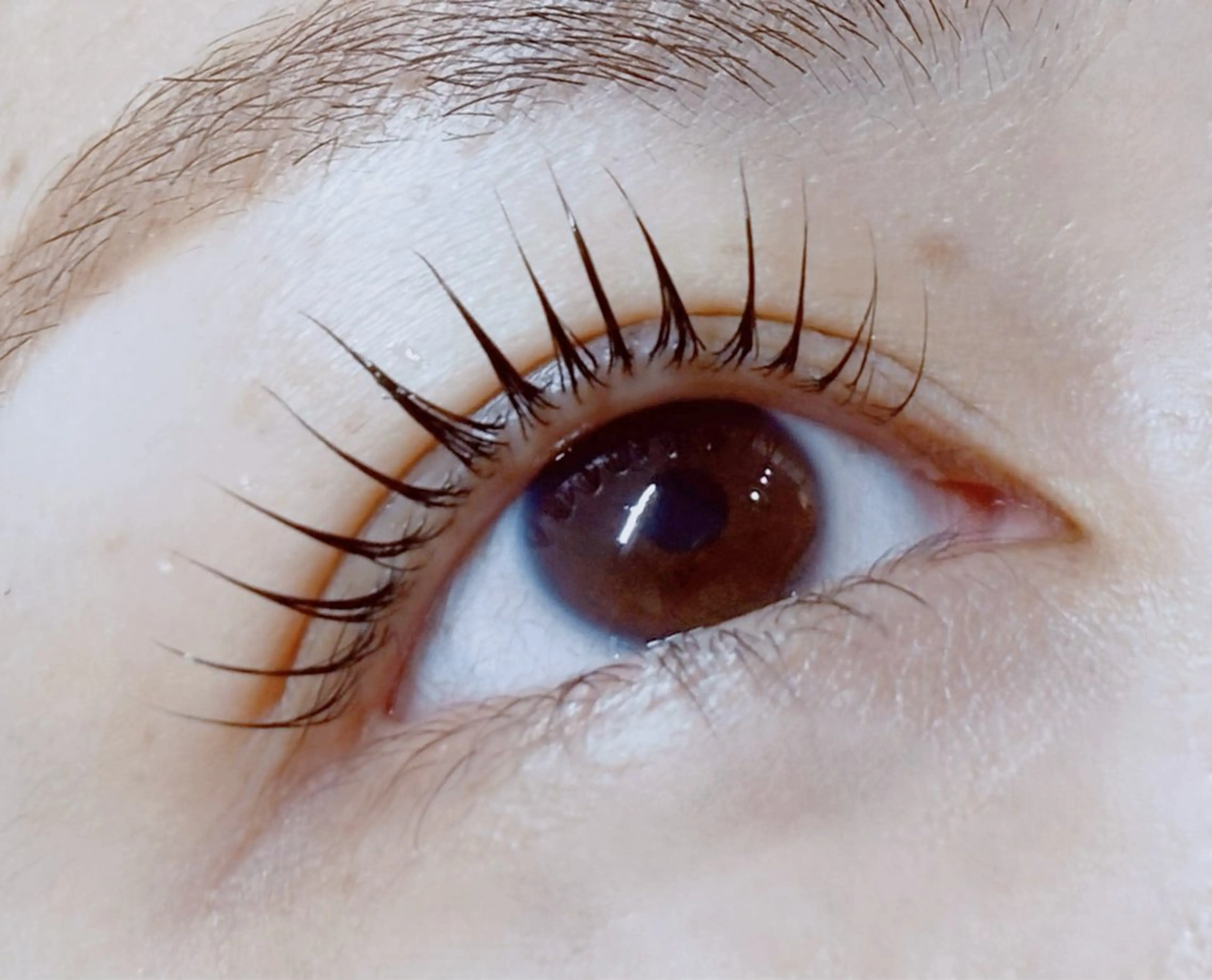 マツエク・マツパ マツパ Roco lush 🍑TOMOのマツエク・マツパデザイン