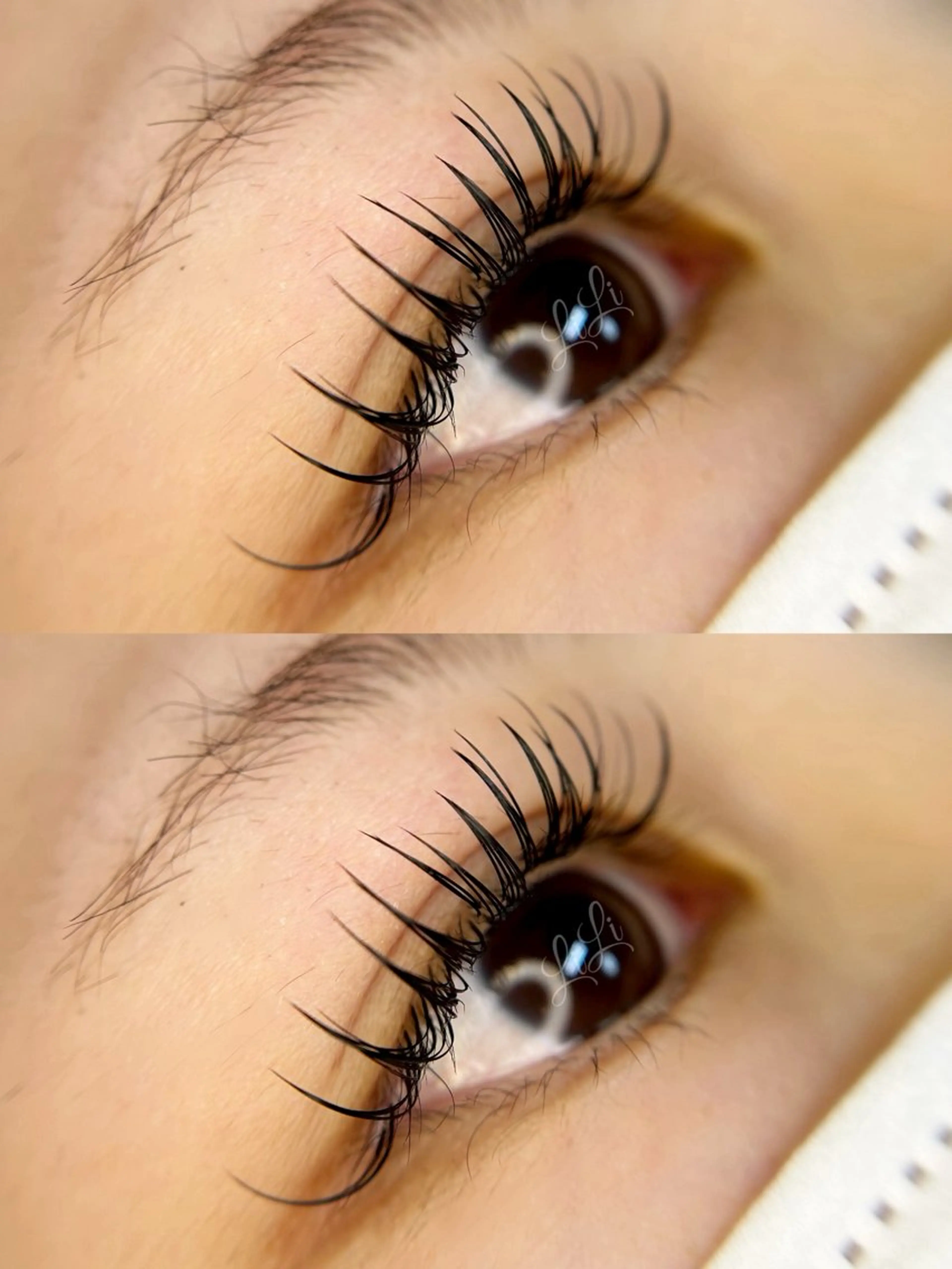 マツエク・マツパ Dカール ゴージャス まつげエクステLiLi所属・まつげエクステ LiLiのマツエク・マツパデザイン