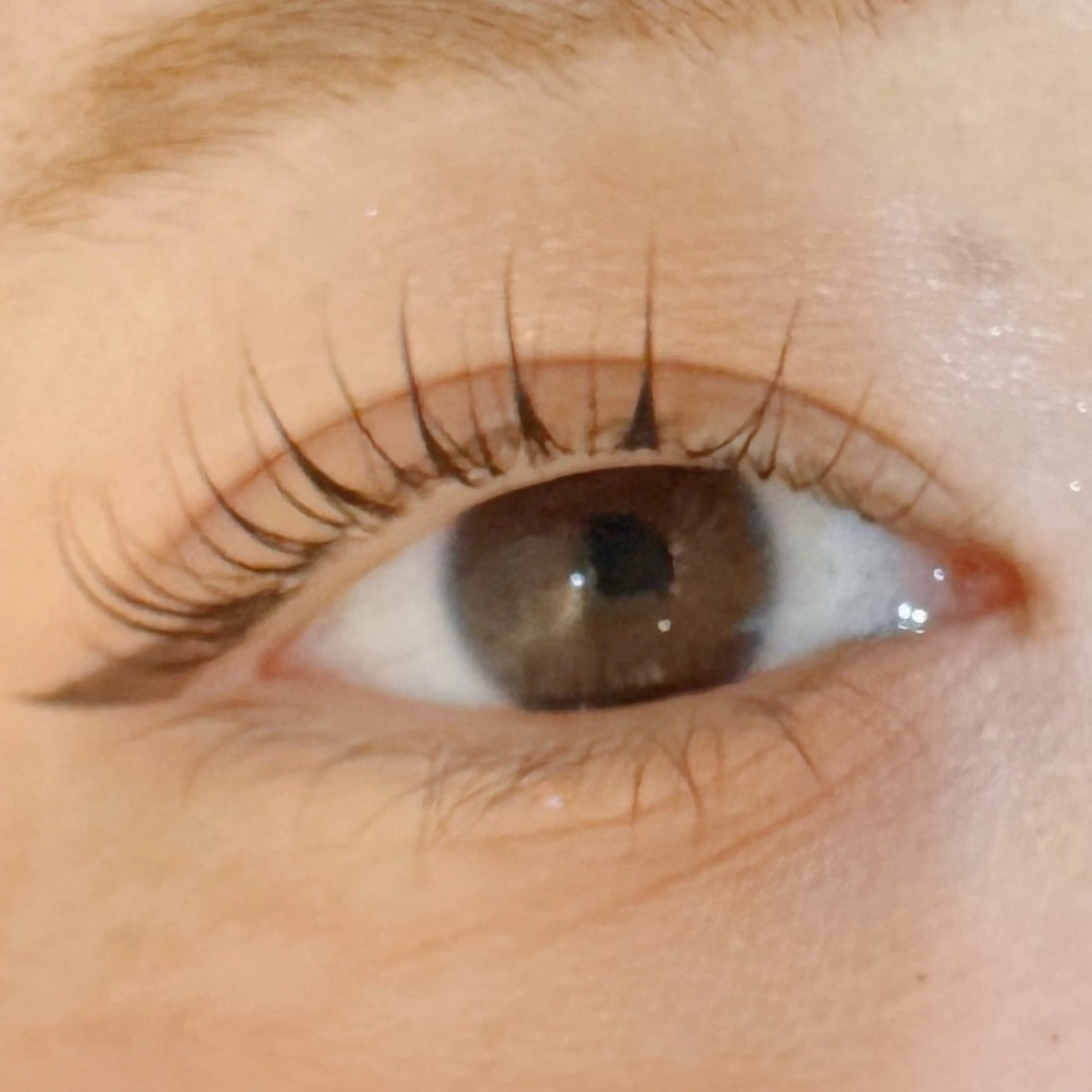 マツエク・マツパ アンジェリカミッシェル所属・ミユ 🎀のマツエク・マツパデザイン