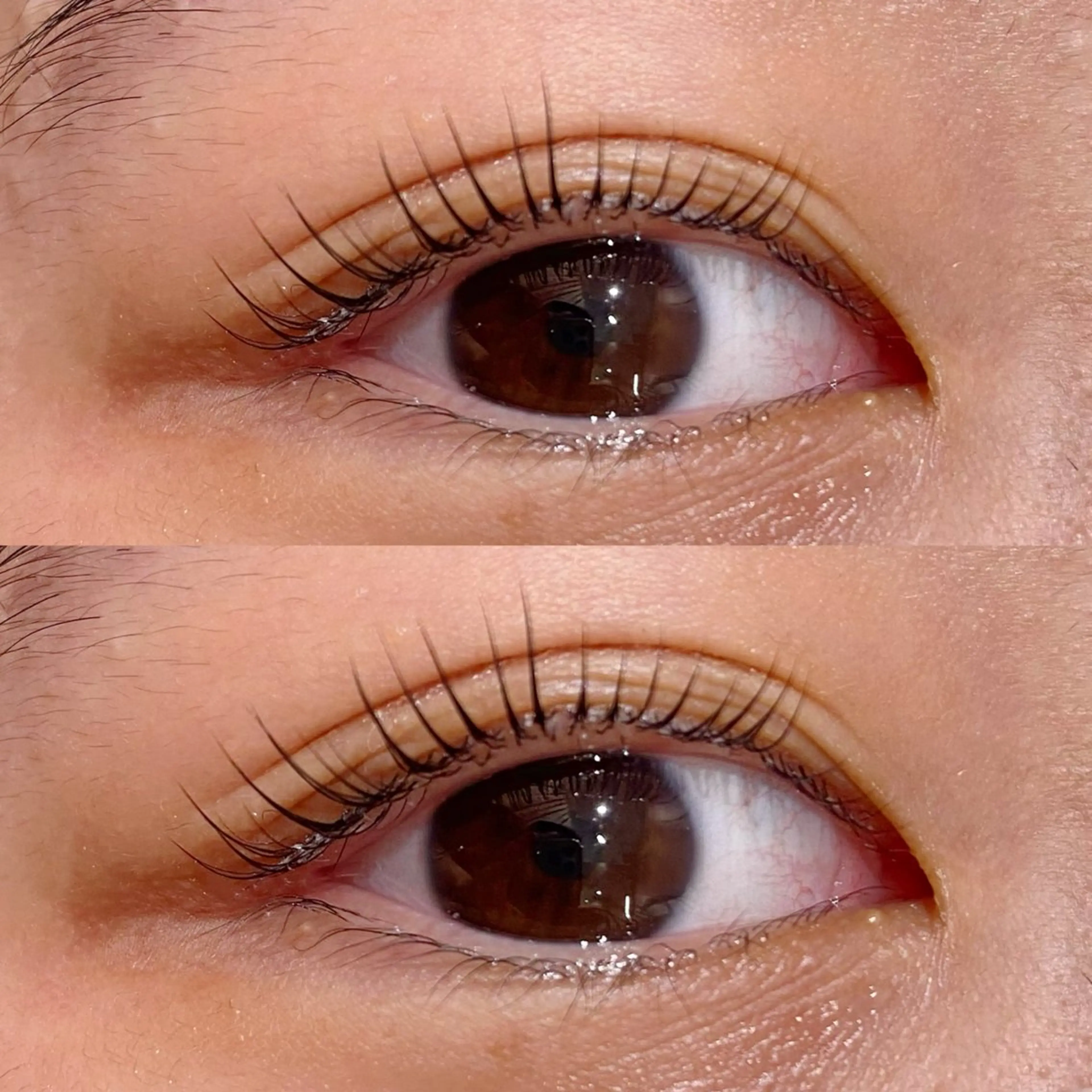 マツエク・マツパ マツパ ベージュ/アレンジ /横浜/杉本千夏のヘアスタイル