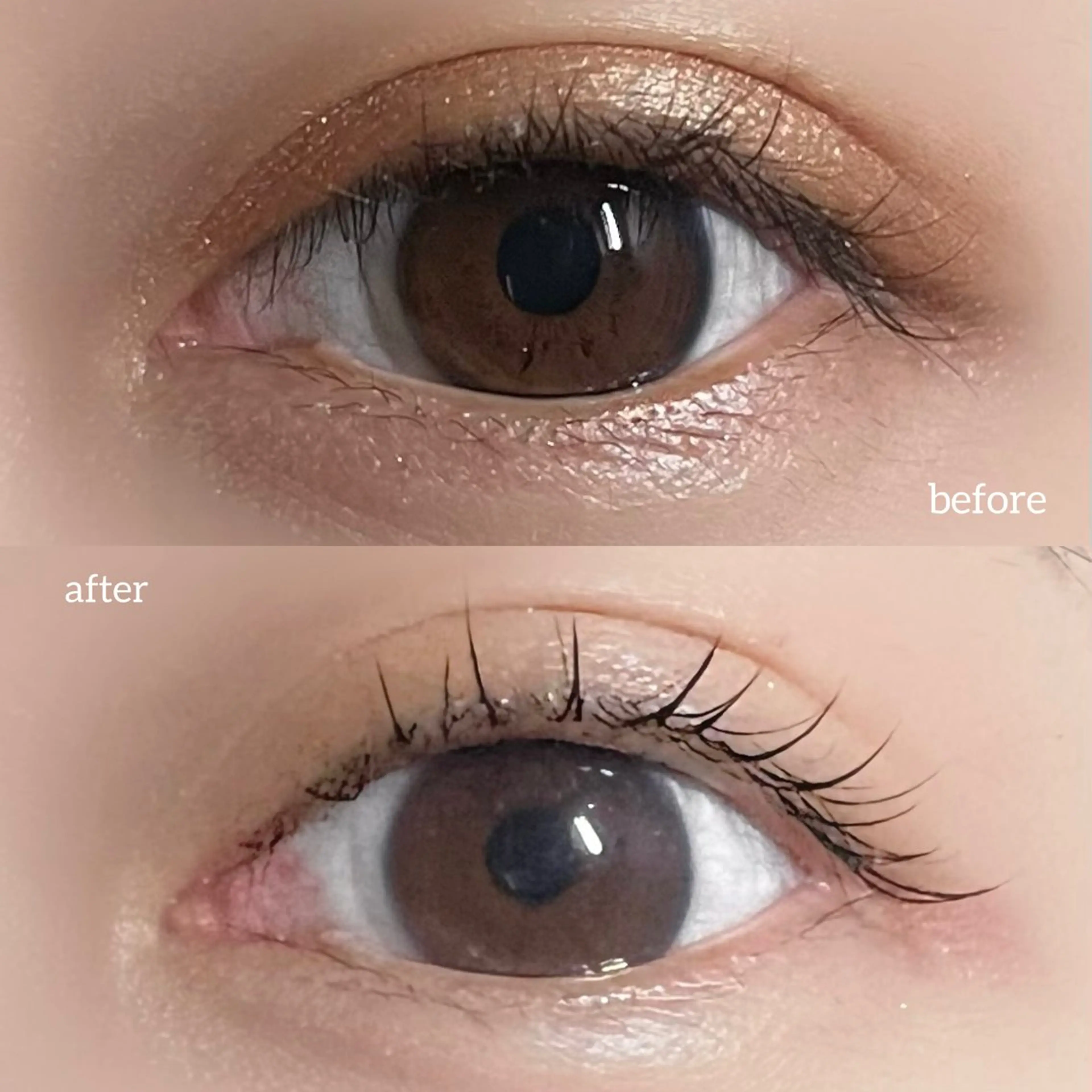 マツエク・マツパ 垢抜け眉WAX専門 ちゅるんまつげ|鎌倉の眉毛・アイブロウイメージ