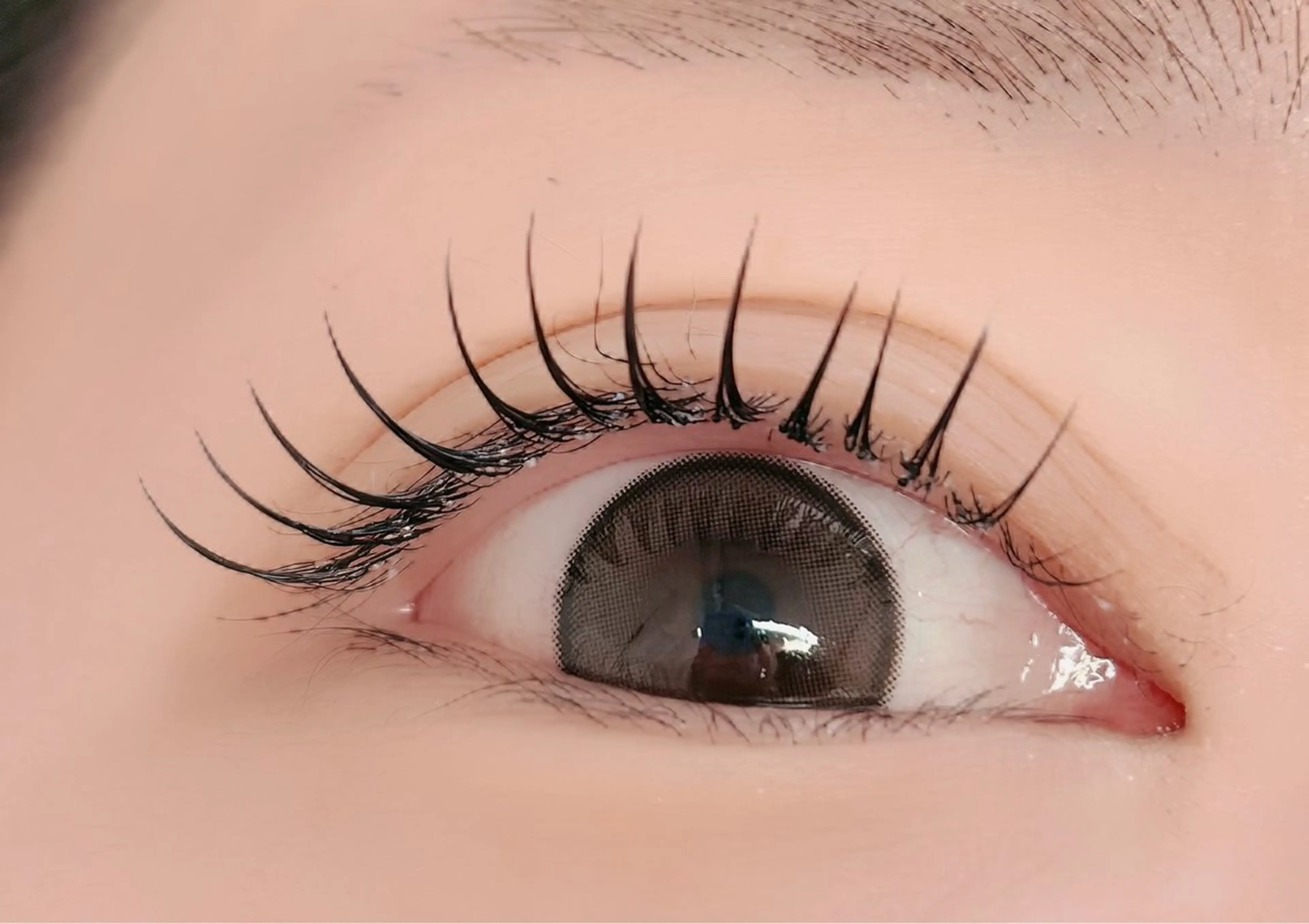 マツエク・マツパ フラットラッシュ マツエク ルチア所属・ルチア💞 luciaのマツエク・マツパデザイン