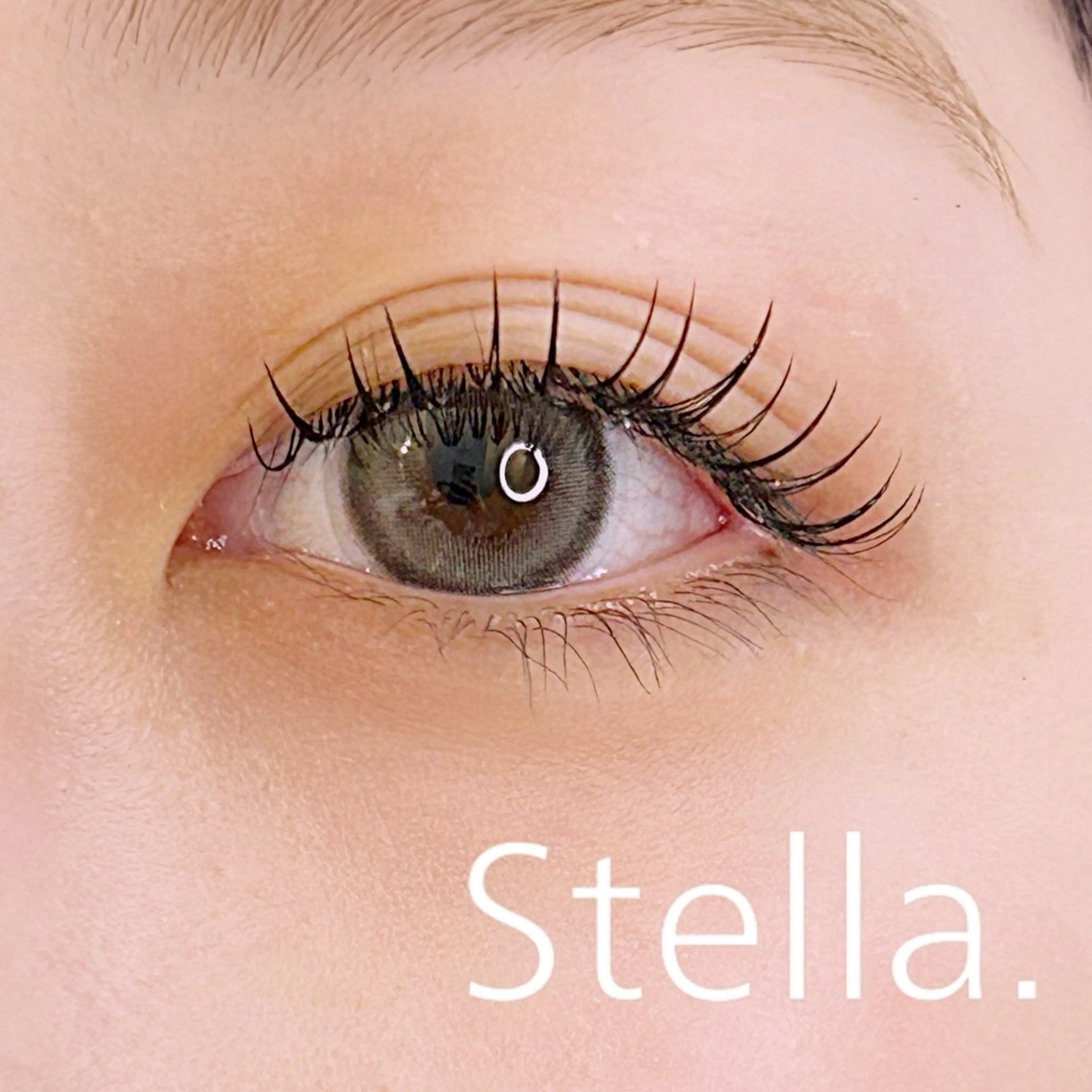 マツエク・マツパ 束感まつ毛 フラットラッシュ ナチュラル Stella.✨ Ikedaのマツエク・マツパデザイン