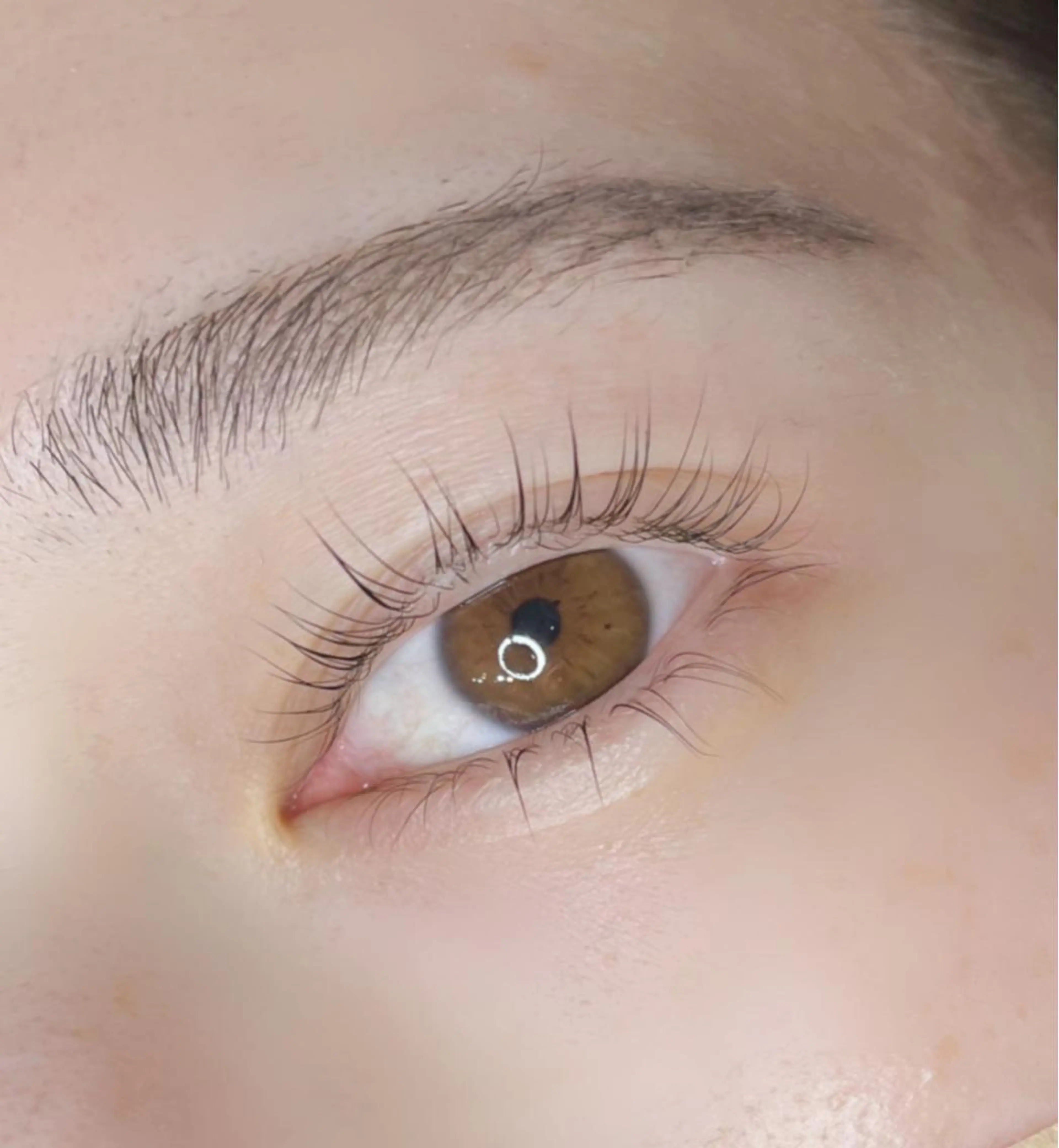 マツエク・マツパ 《eyelash ｉｉｔｅ》森のマツエク・マツパデザイン