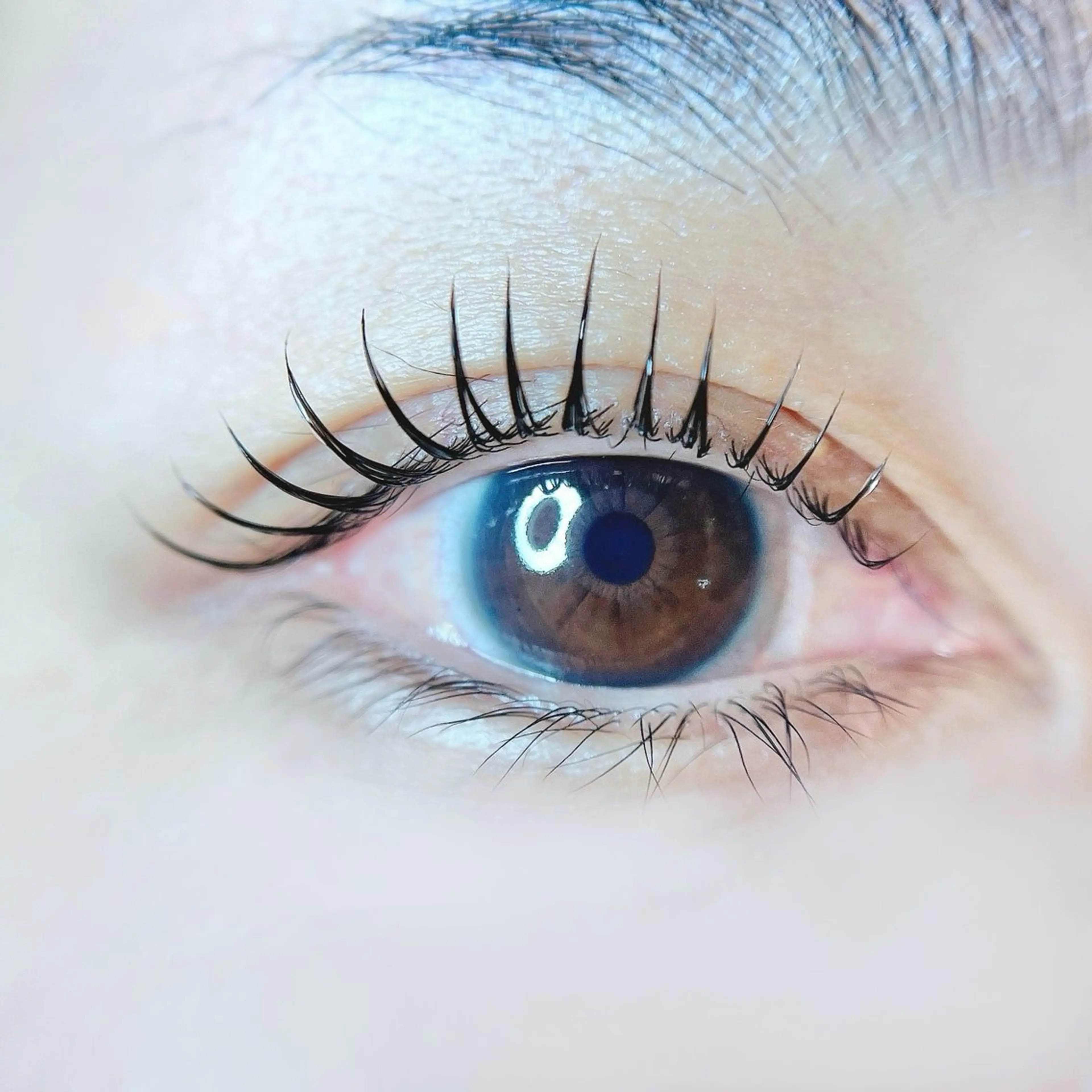 パリジェンヌラッシュリフト/まつげパーマ🍓コーティング仕上げ🍃の写真