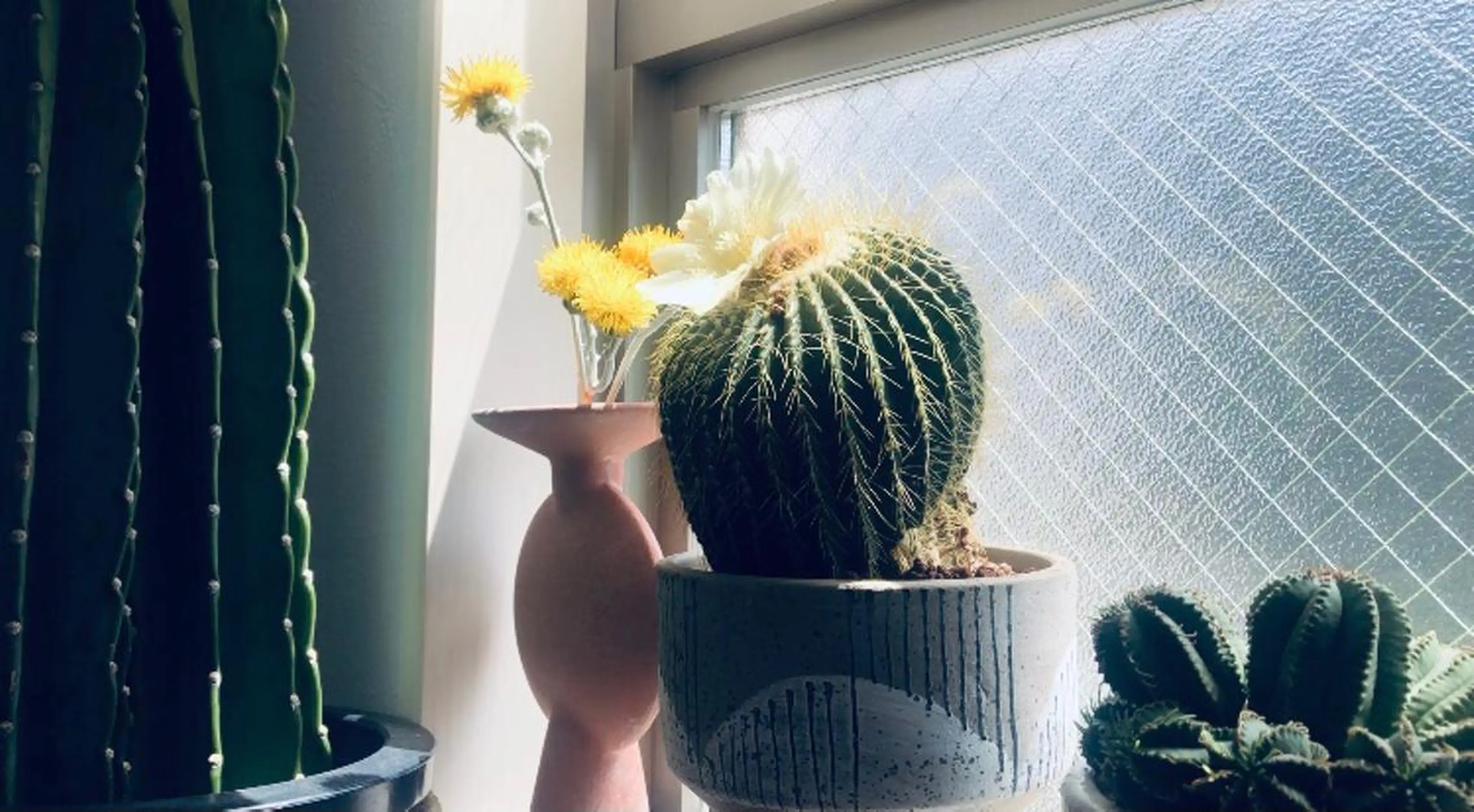 basico  のエステ・リラクイメージ