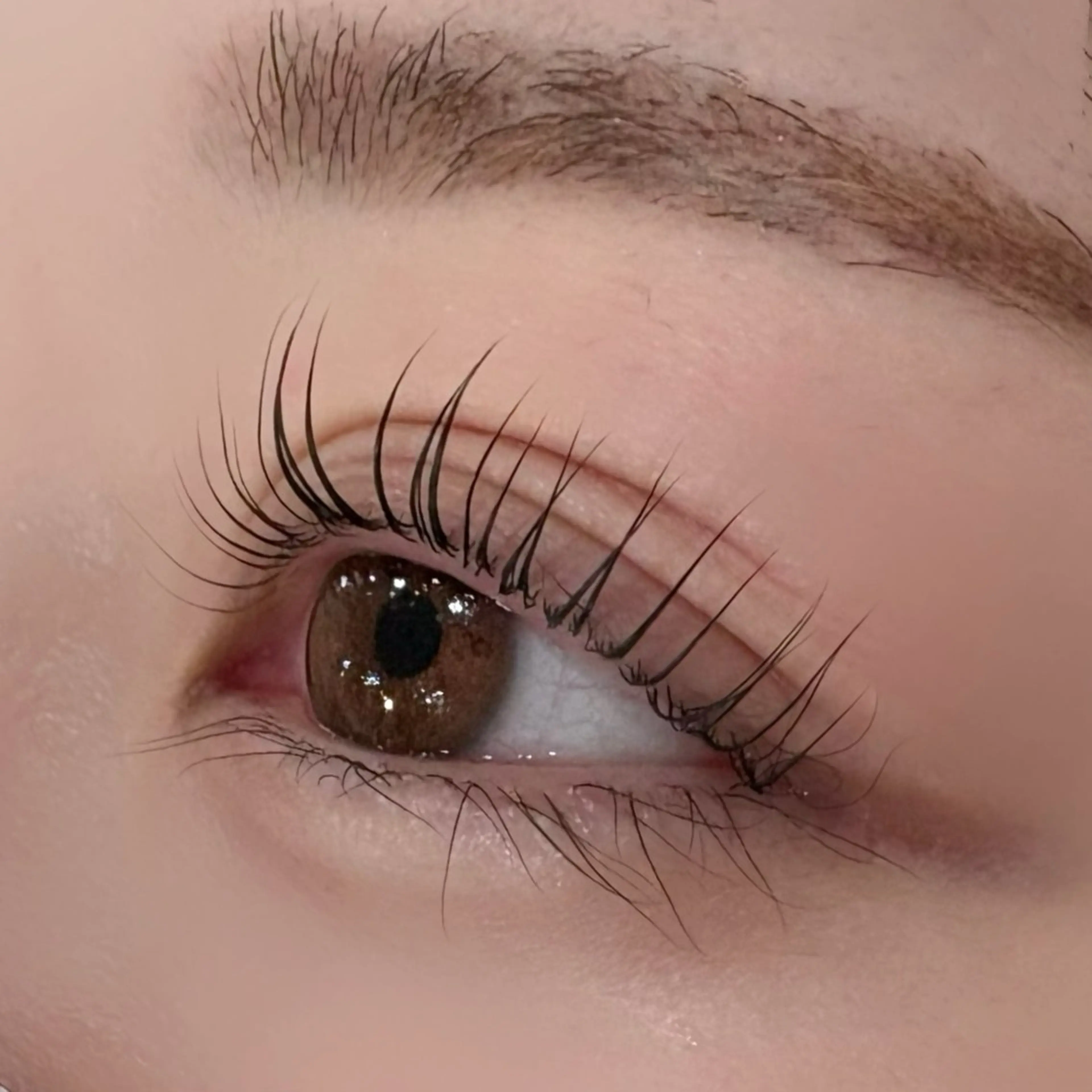 マツエク・マツパ Lカール eyelashZen 🤍HIRARIのマツエク・マツパデザイン