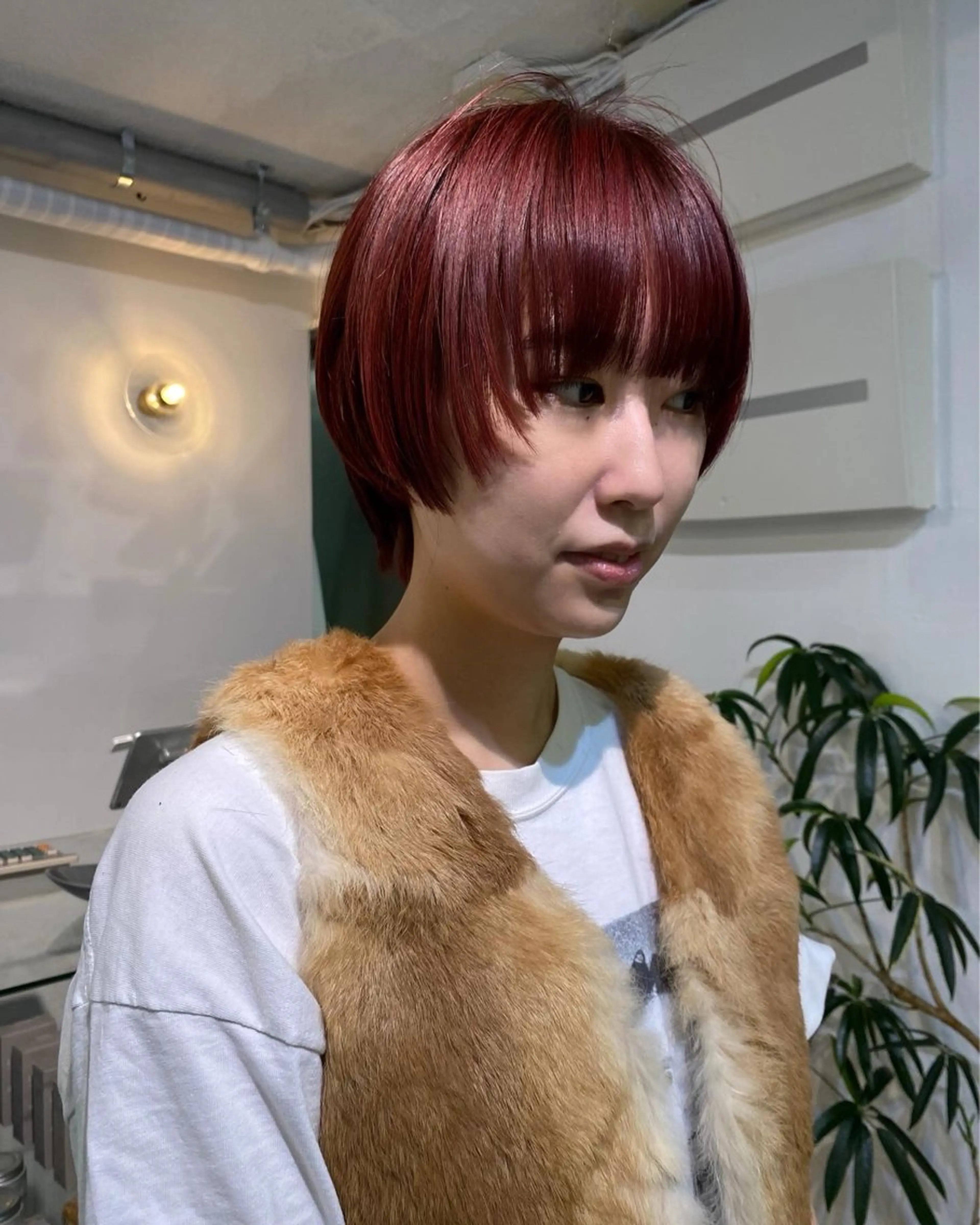 ショート カラー レイヤーカット ショートヘア iroha/ n.w.h🎀のヘアスタイル