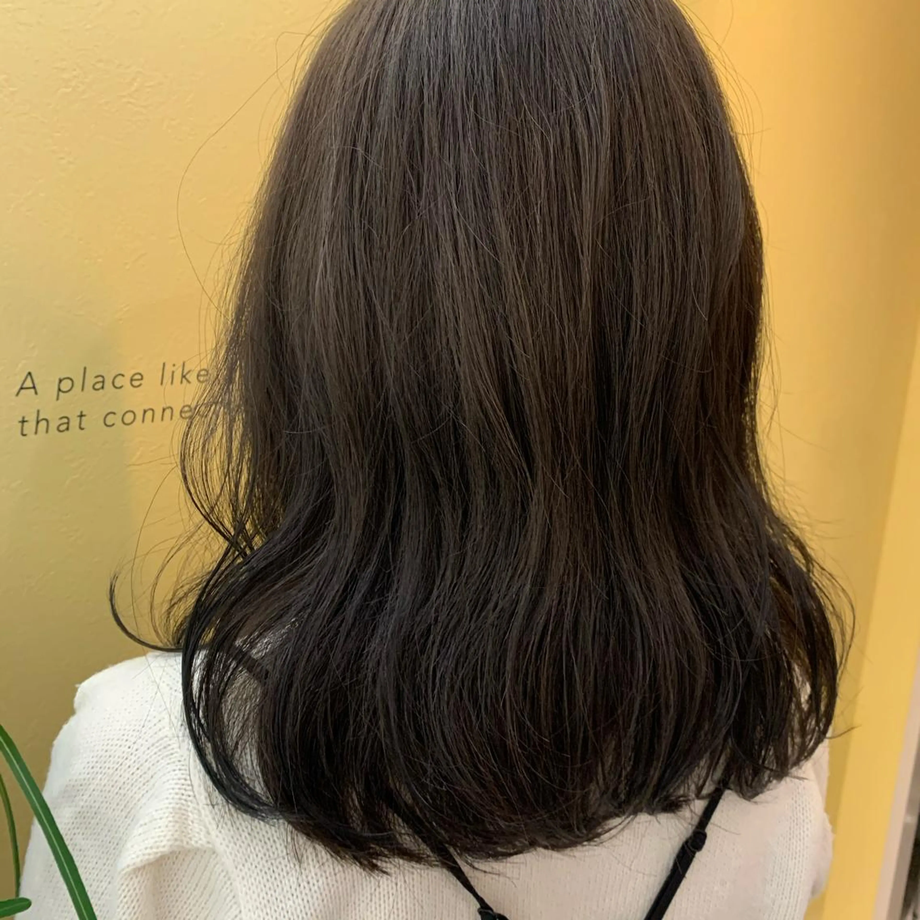 セミロング カラー ダークグレー ダークグレージュ グレージュ オレンジ カット ヘアカラー トリートメント hub hair レイヤー/透明感のヘアスタイル