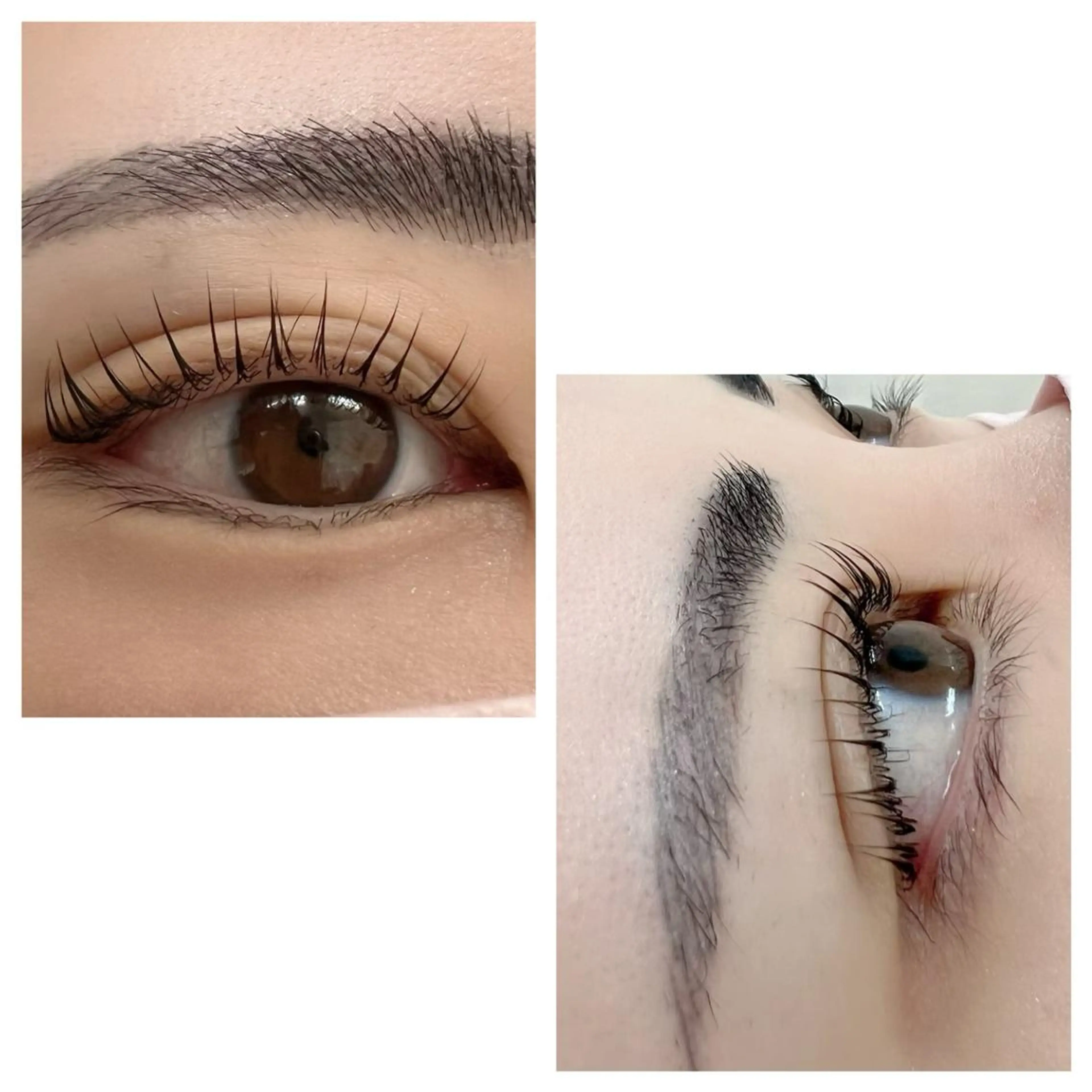 マツエク・マツパ まつ毛エクステ専門店WIKIRA所属・WIKIRA 押上 さくらばのマツエク・マツパデザイン