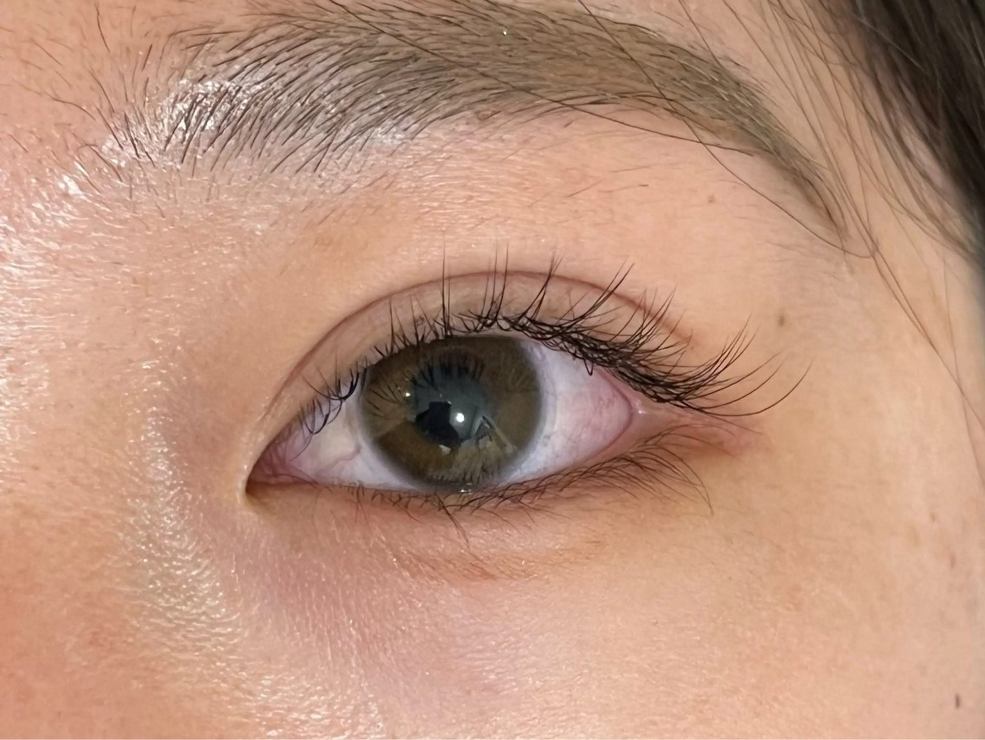 プレミアムセーブル80本 (補足説明をご覧下さい☺️)の写真