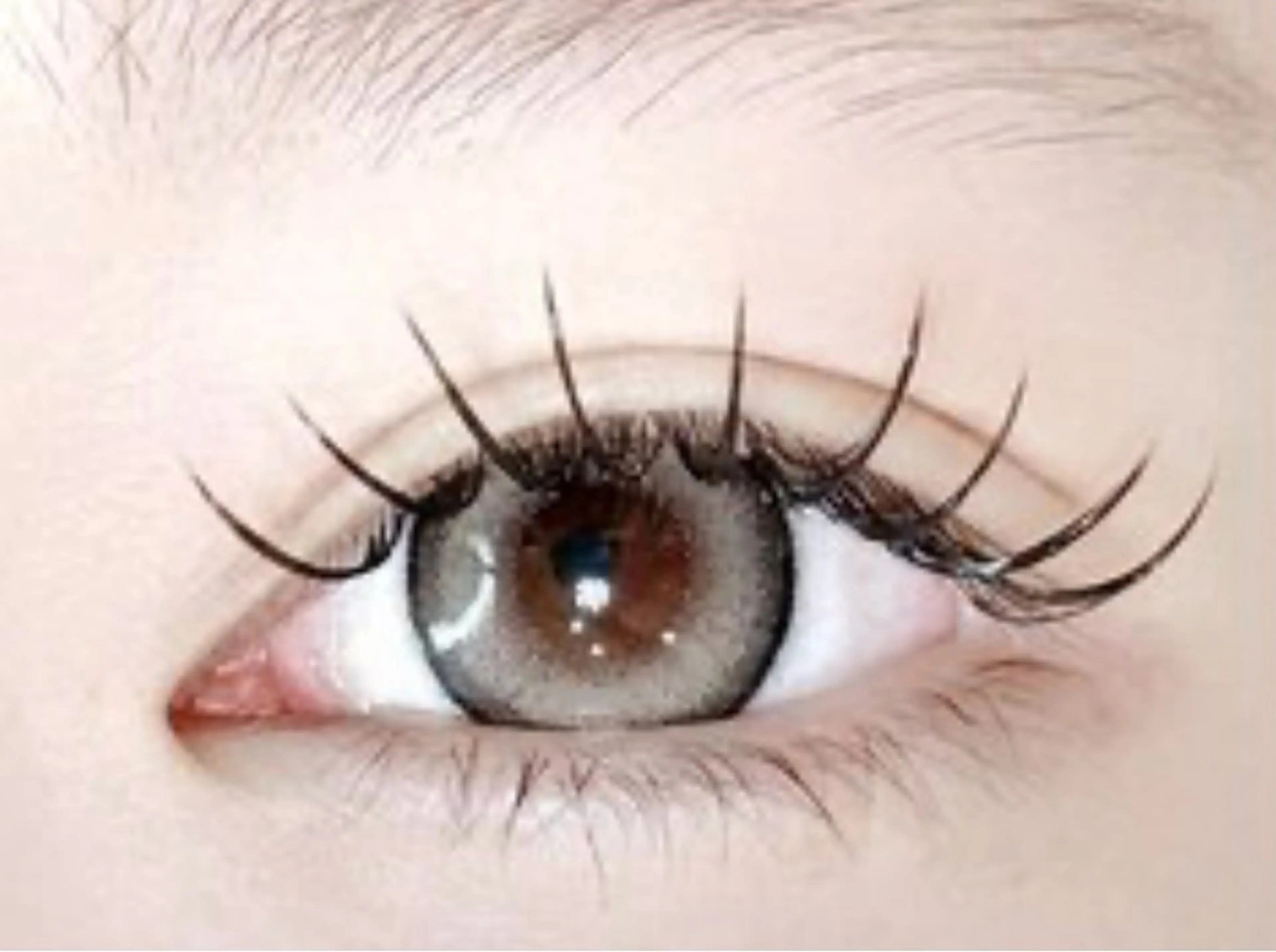 アイパック＆コーティング付き束感フラットラッシュ120本✨♥️の写真