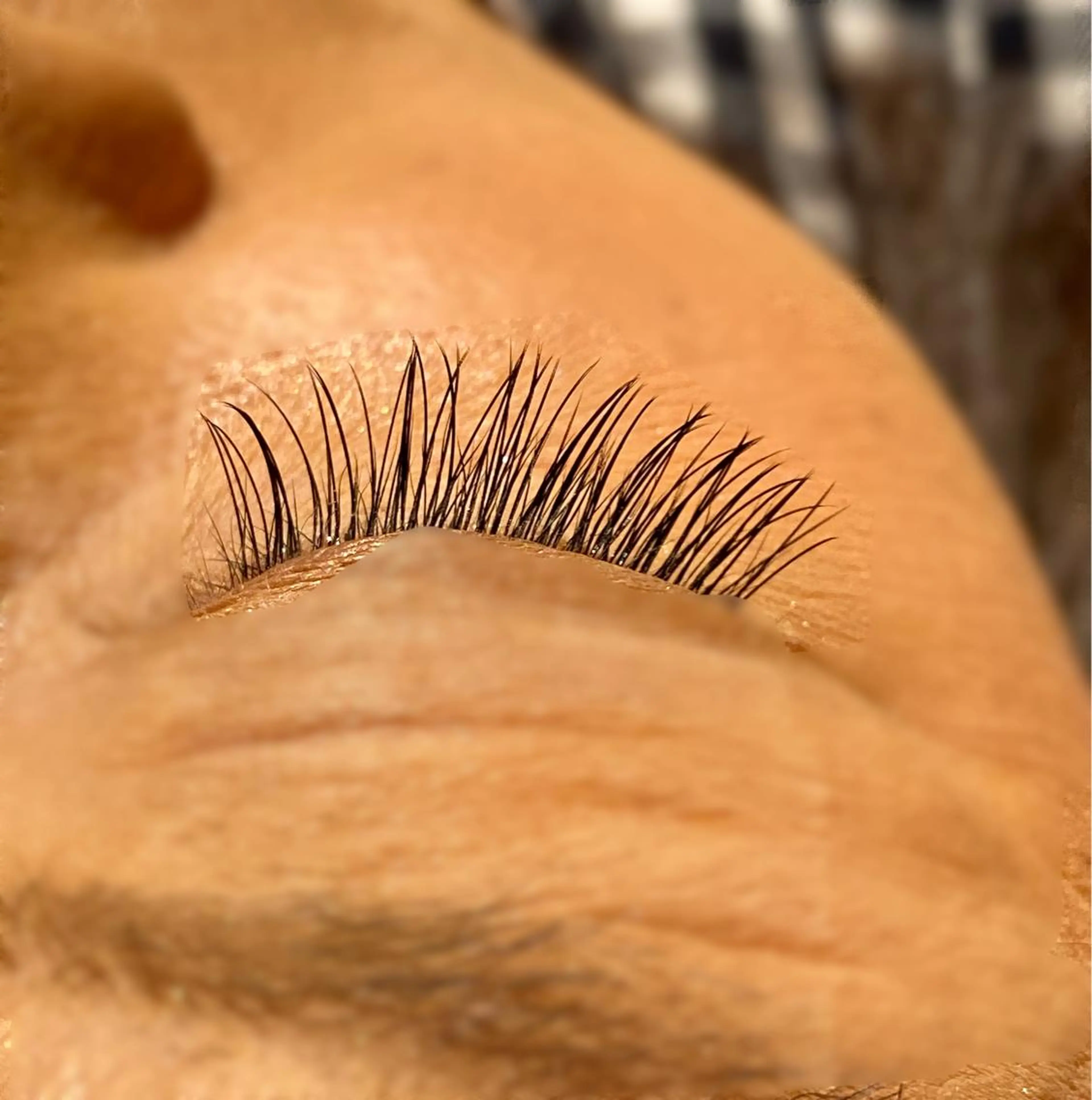 フラットラッシュ 100本の写真