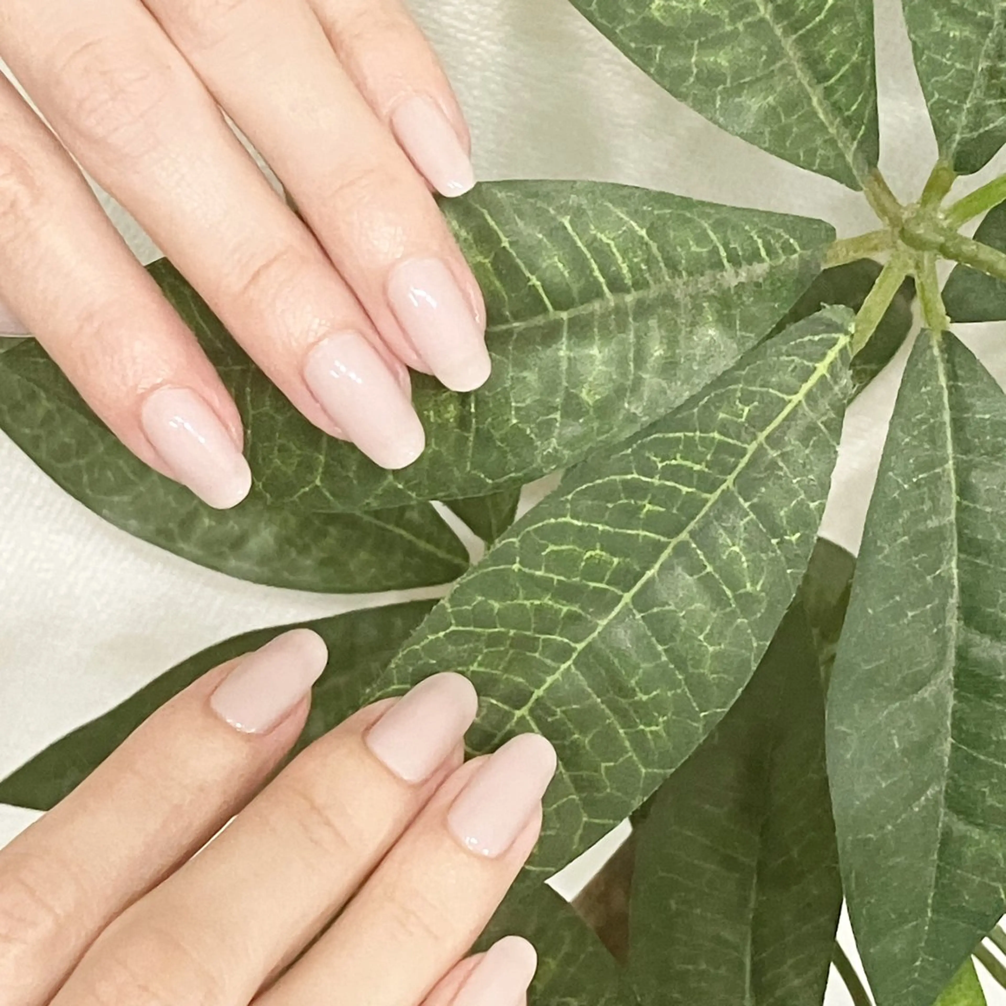 ネイル BellaLuna 金子のネイルデザイン