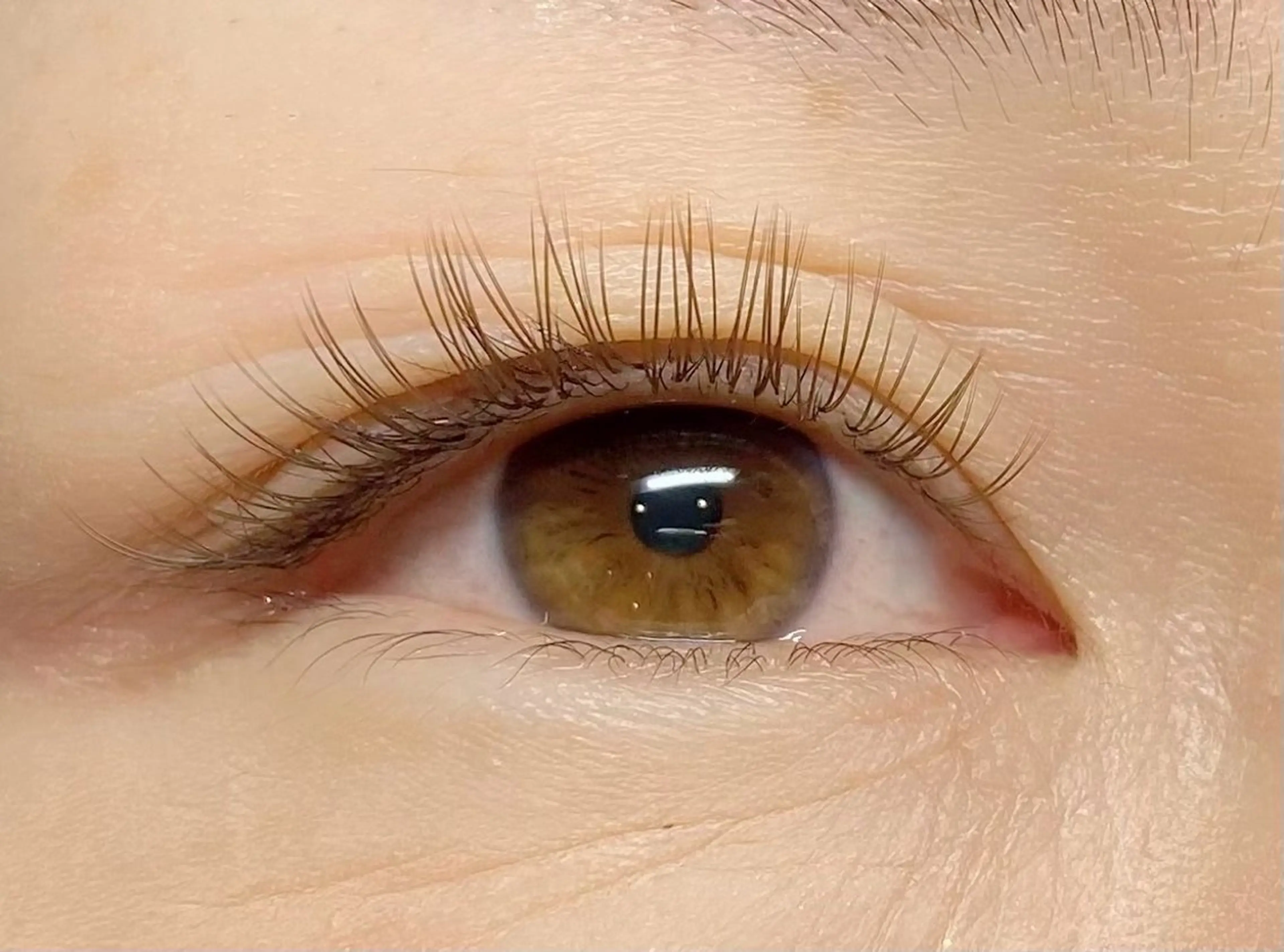 カラーエクステ✨120本 ブラウンの写真