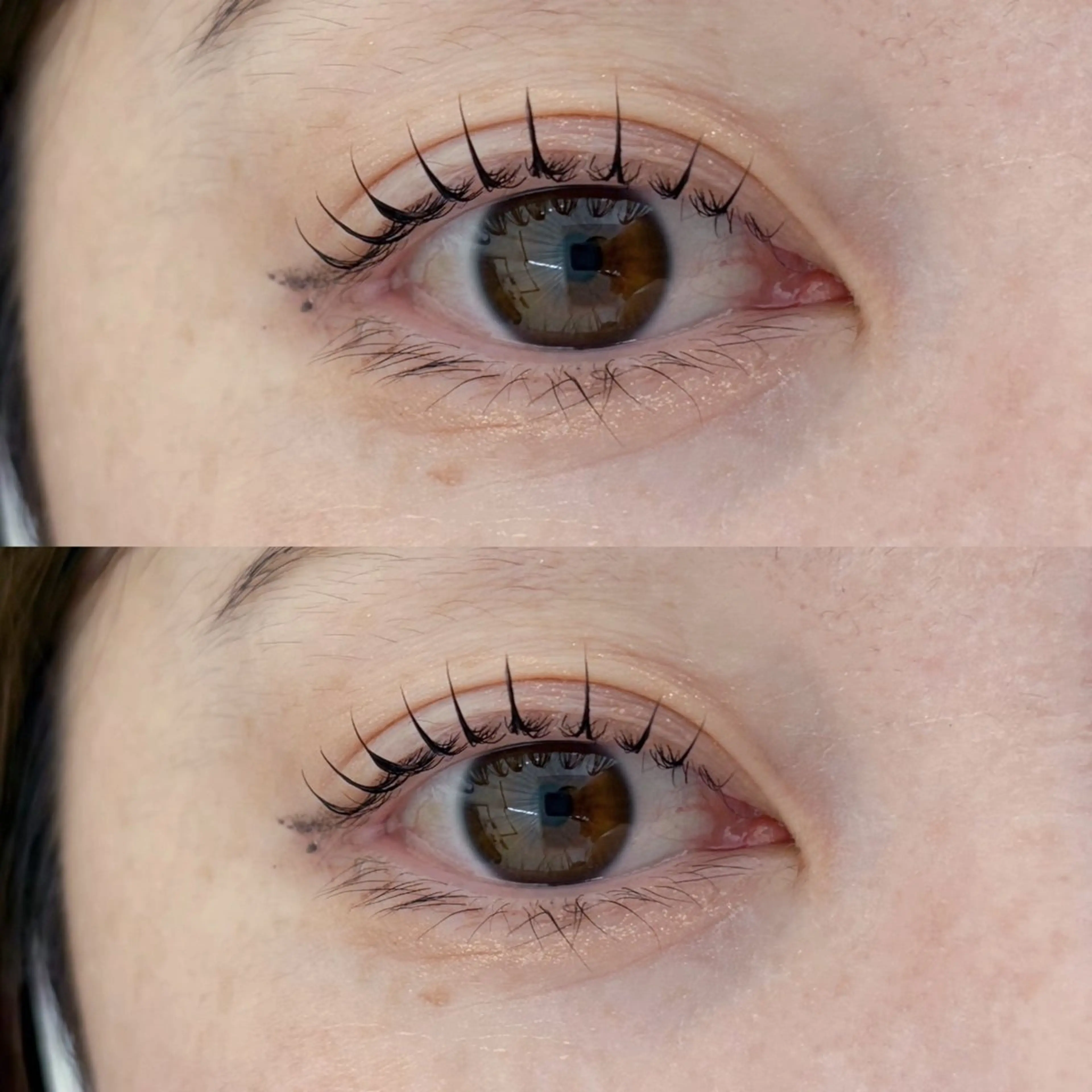 【⭐️4/3 11時.12時半.14時.15時半のみ‼️】まつげパーマ無料モデル💕ご新規様限定✨【1時間半メニュー】の写真