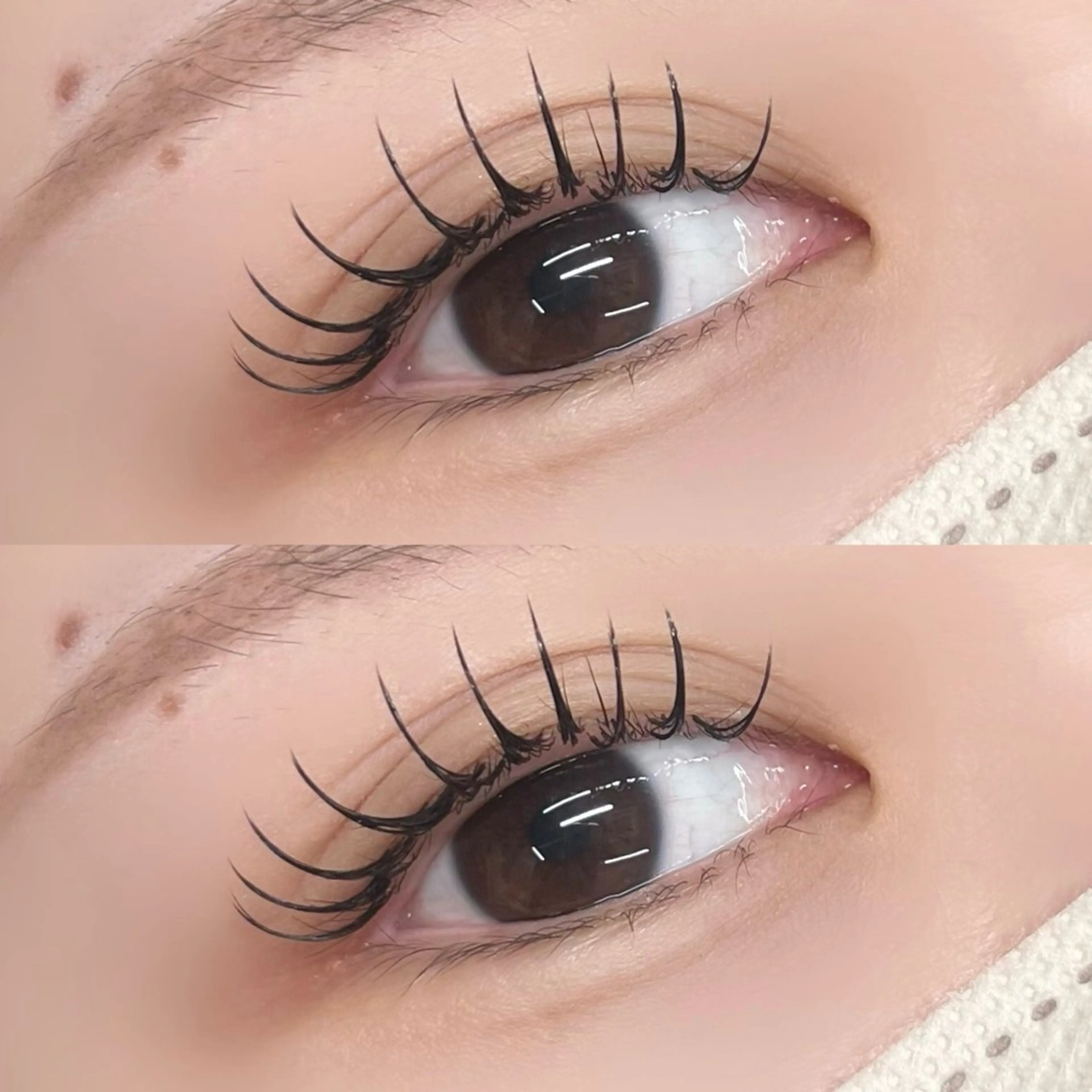 マツエク・マツパ マツエク 【LILY】伊沢/ バインド/パリ/エクのマツエク・マツパデザイン