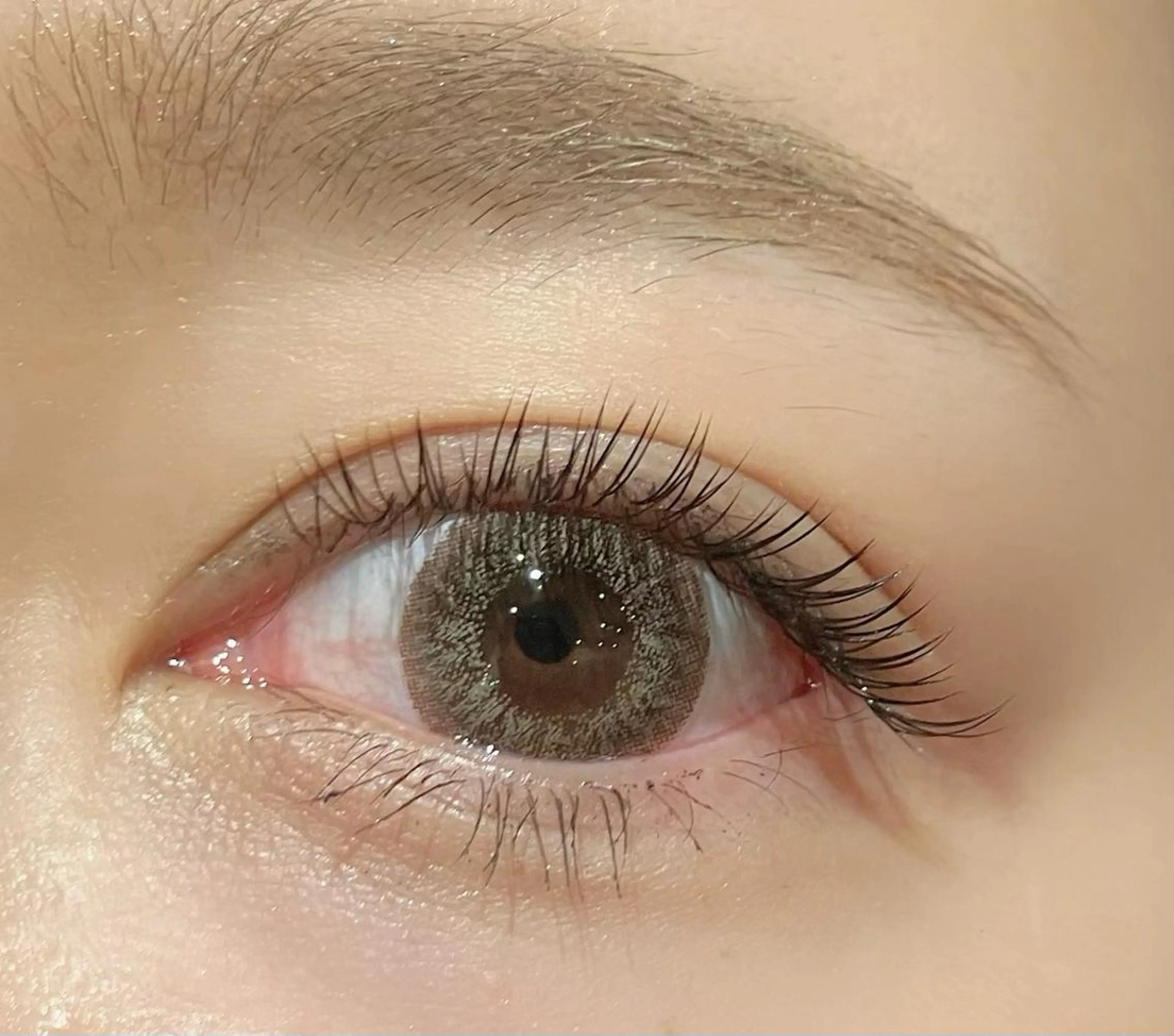 🫎最強持続力◎ダブルフラットラッシュ🫎60分コース(+1500円でLEDグルーに変更OK💡⠜)の写真