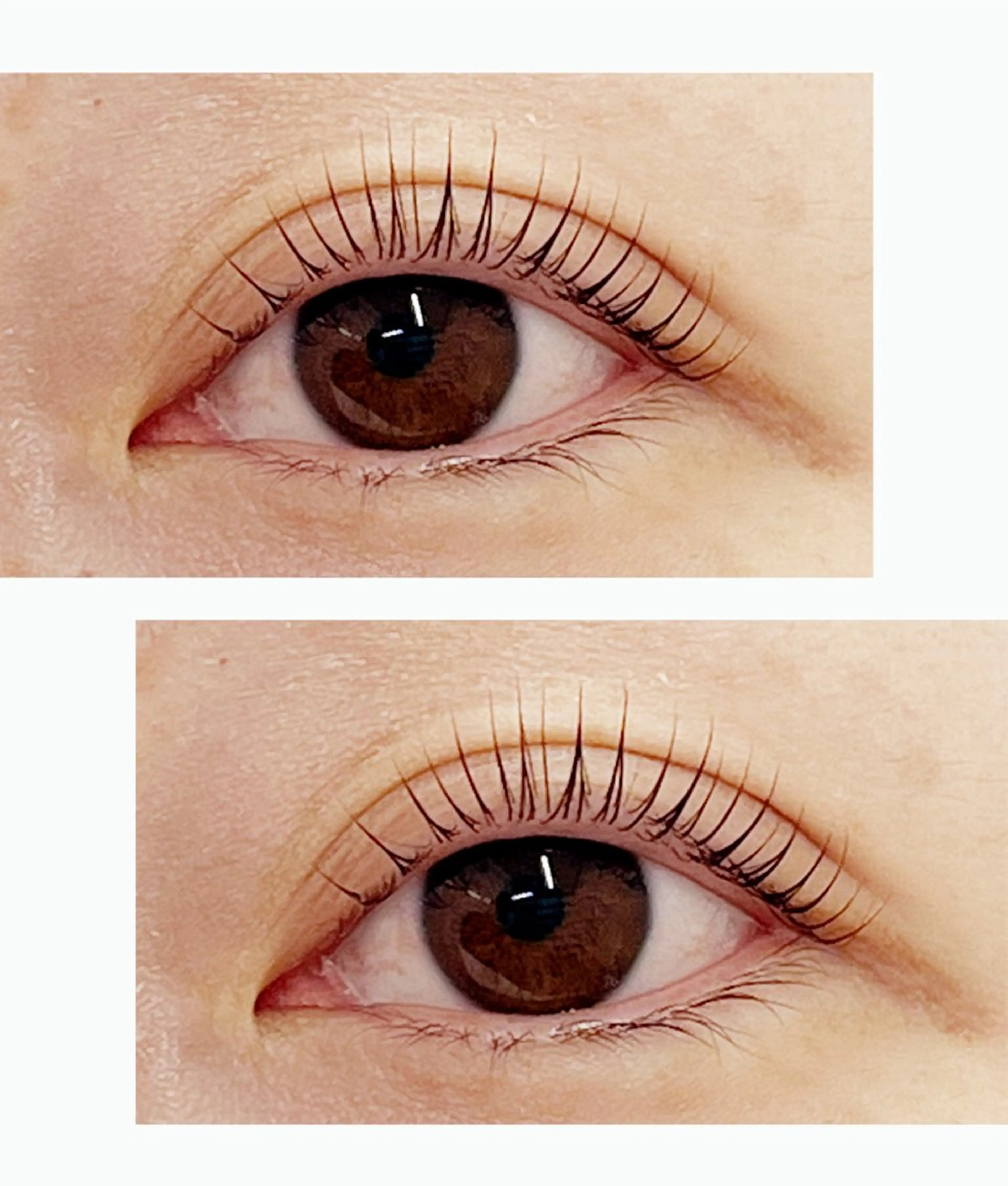 マツエク・マツパ M egumiの眉毛・アイブロウイメージ