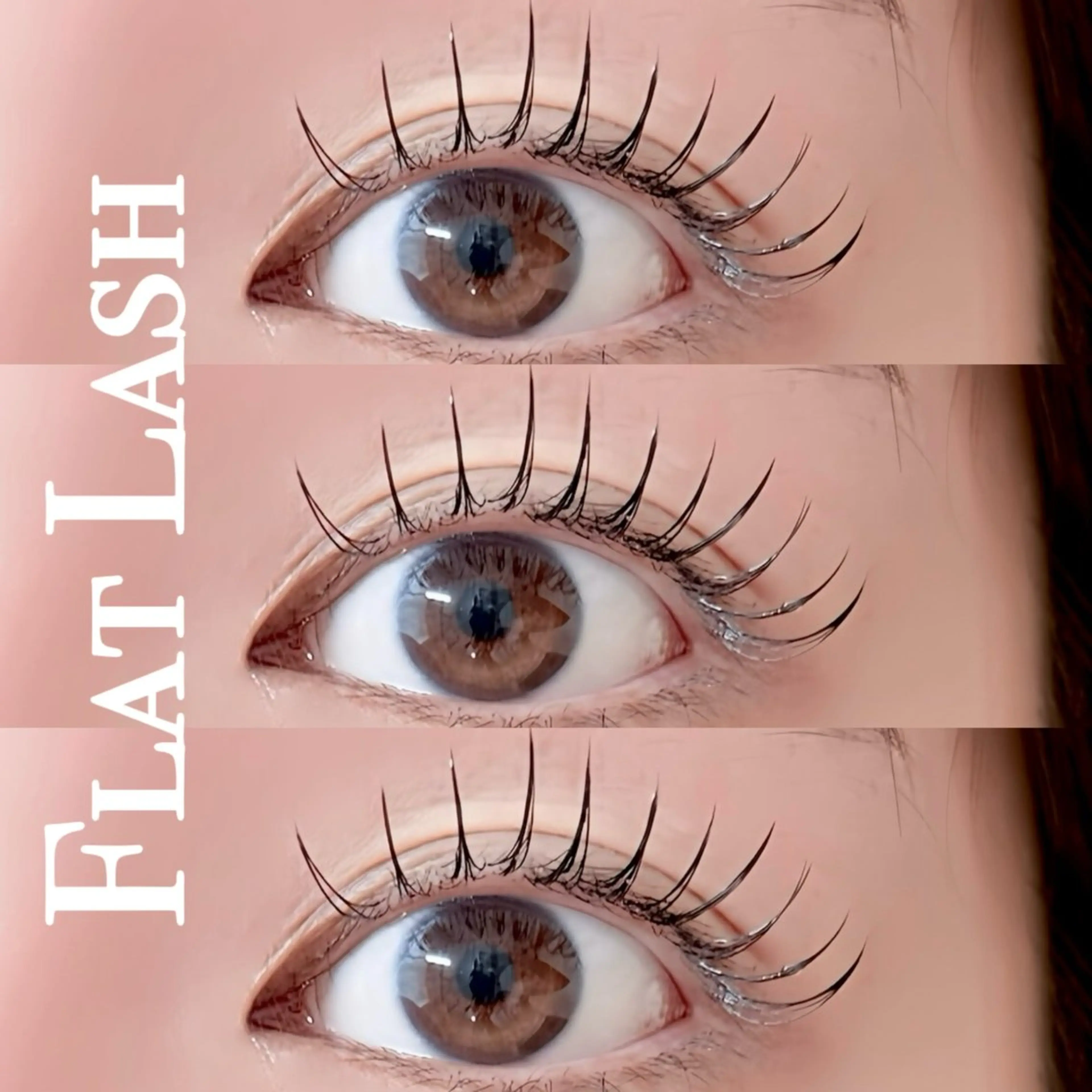 【平日限定12月末まで】新メニュー開始により限定価格❗️フラットラッシュ/100本(オフなし)⚠️現金不可の写真