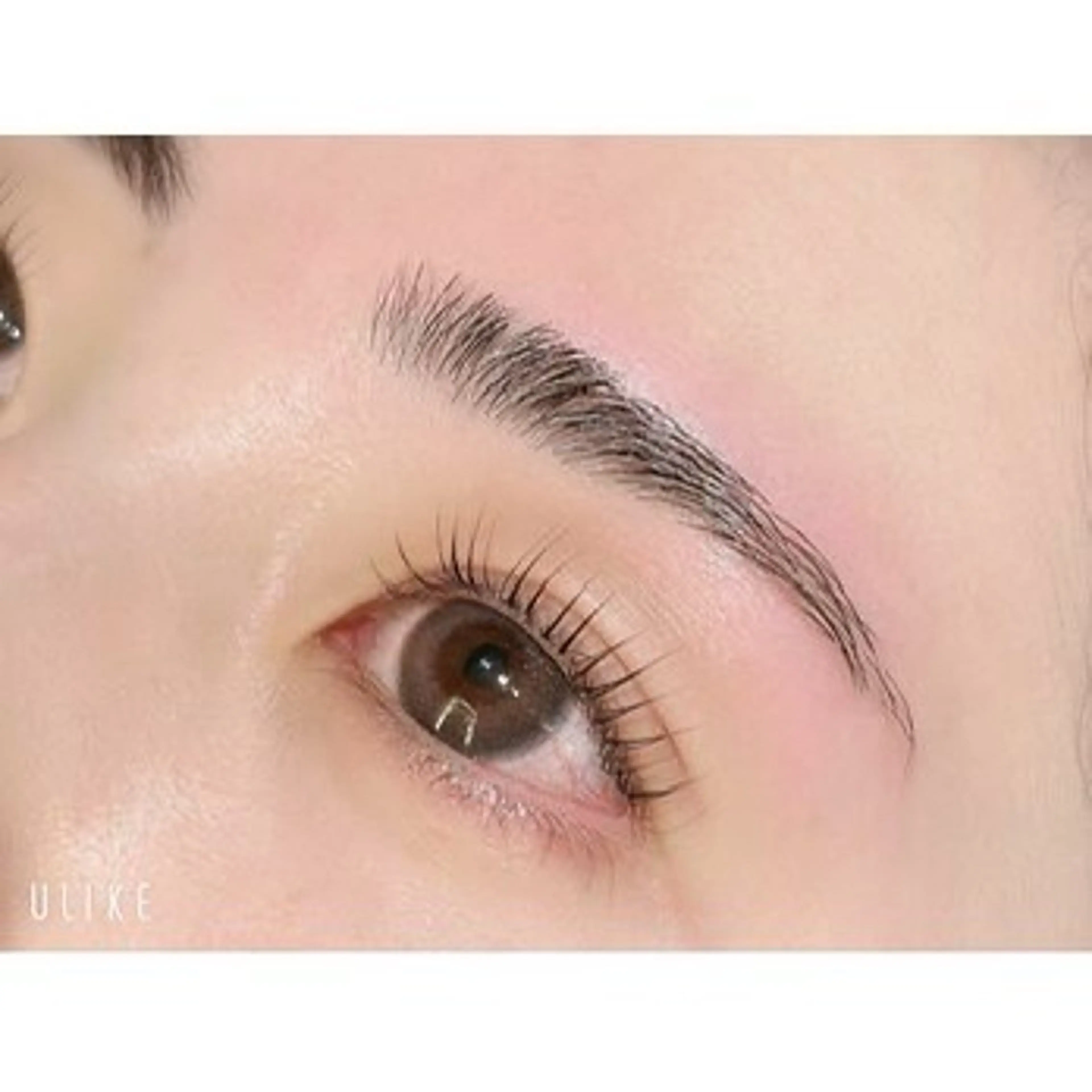 【当日限定】アイブロウwax脱毛🐈‍⬛🩶の写真