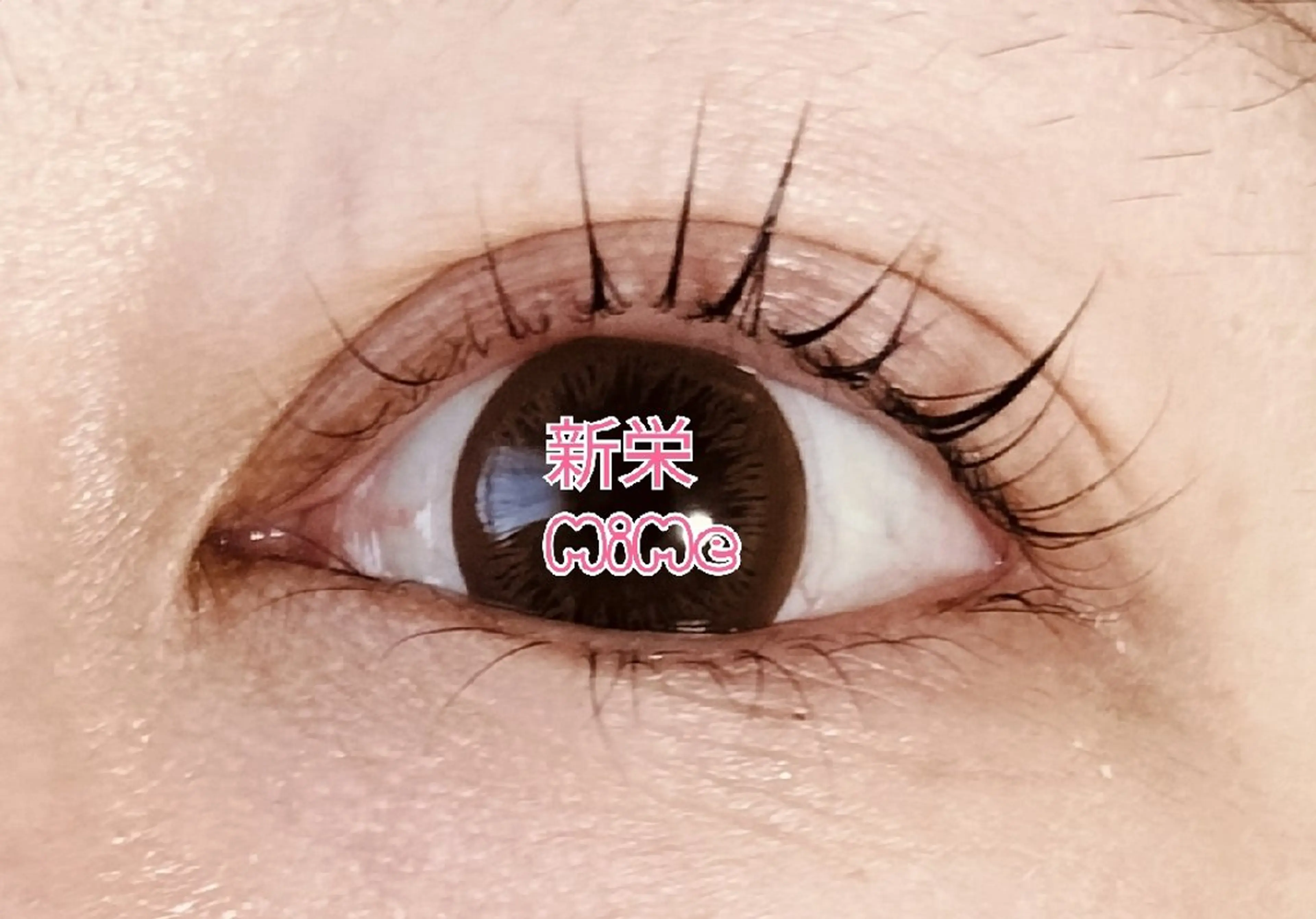 マツエク・マツパ パリジェンヌラッシュリフト ミミー 南のマツエク・マツパデザイン