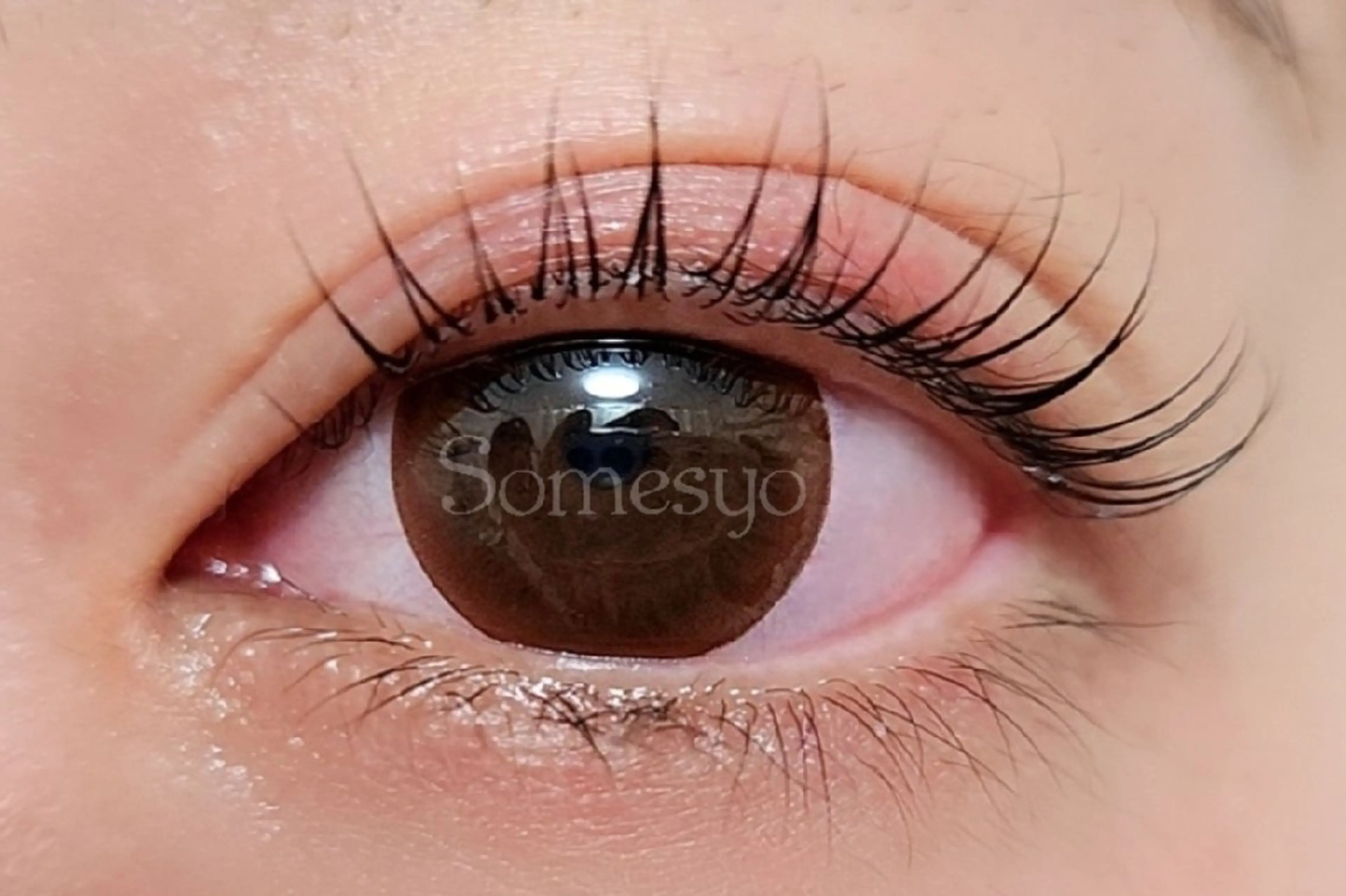 マツエク・マツパ eyelash salon Somesyo所属・Somesyo ソメショウのマツエク・マツパデザイン