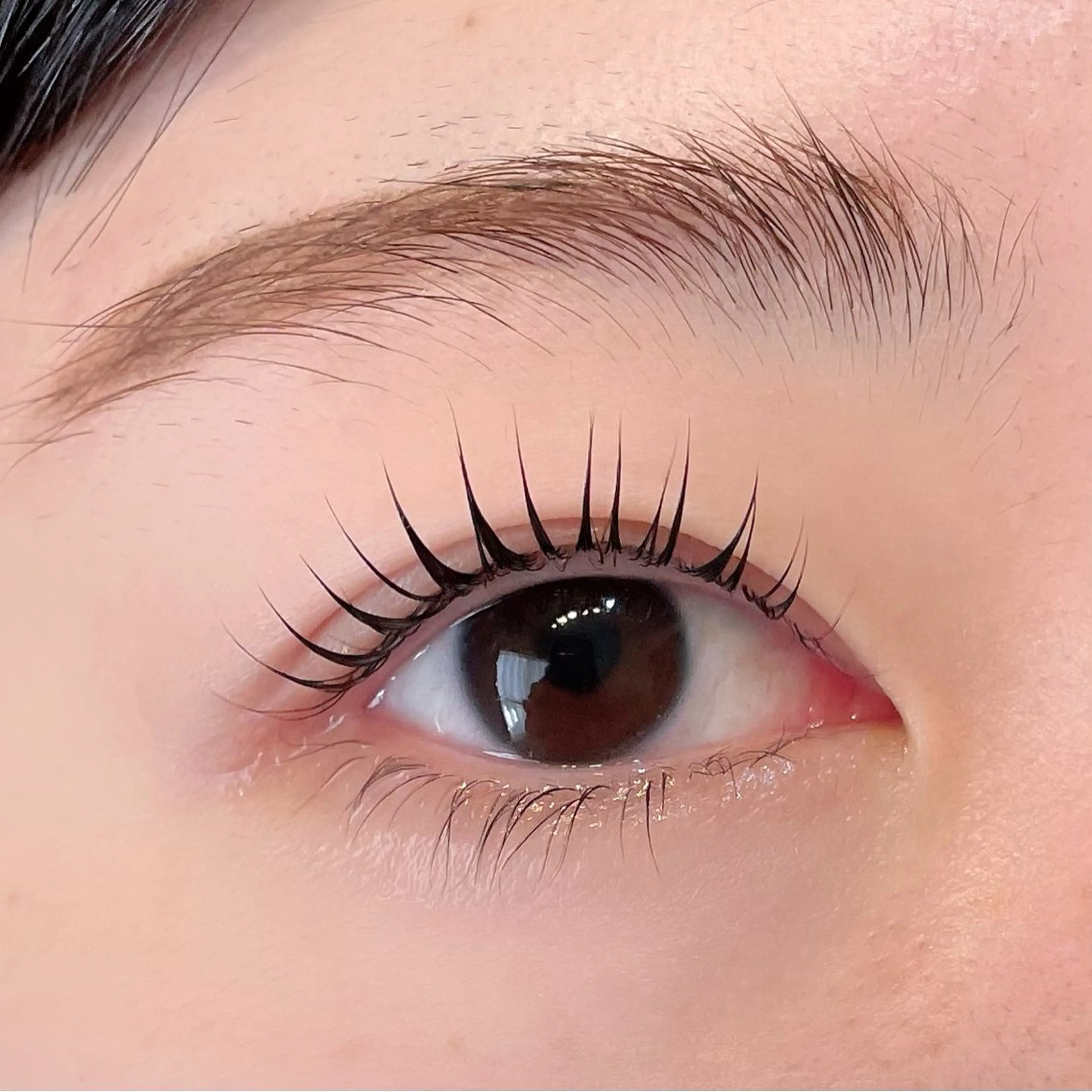 マツエク・マツパ マツパ ᴇʏᴇʟɪꜱᴛ🦋 𝐊𝐀𝐓𝐎のマツエク・マツパデザイン