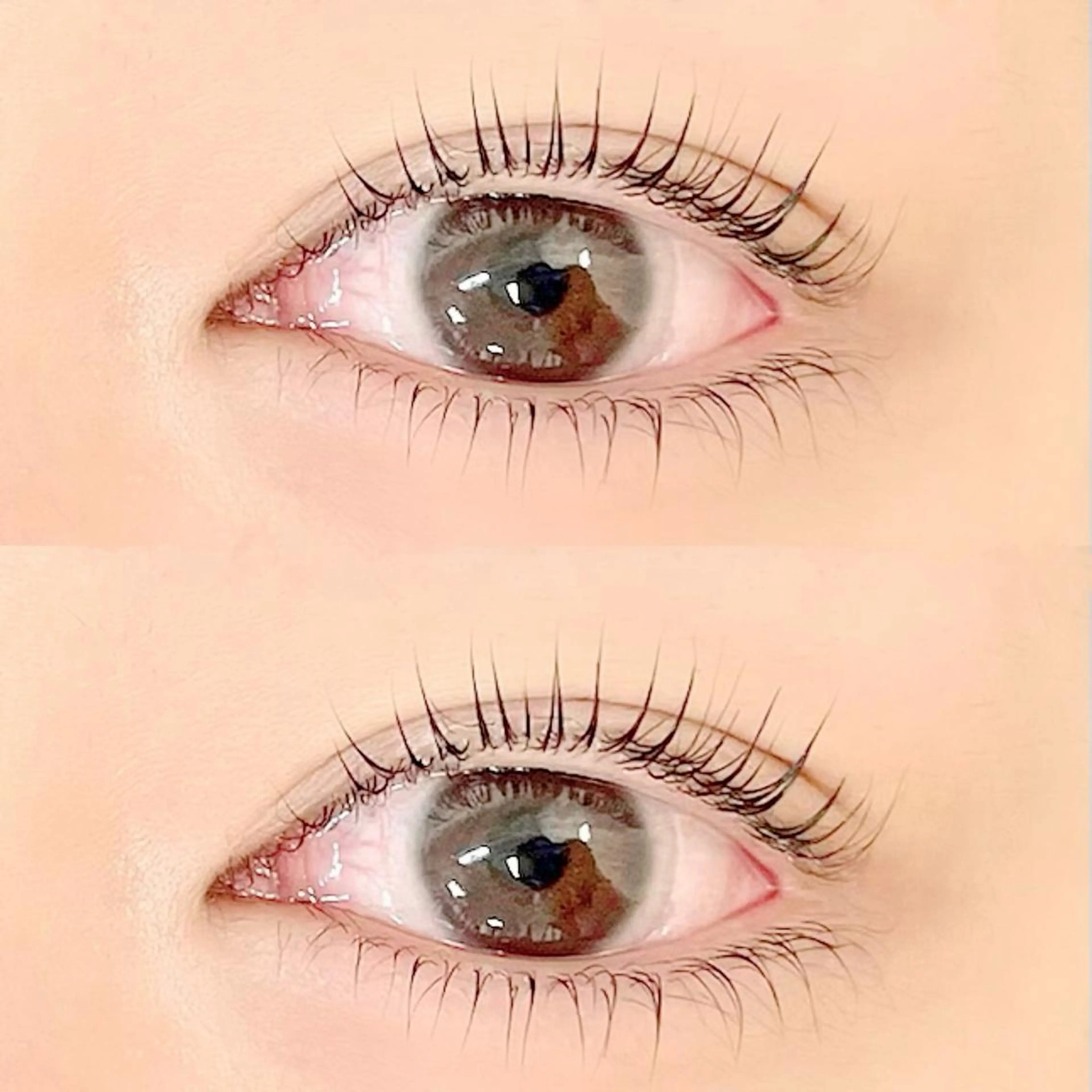 マツエク・マツパ パリジェンヌラッシュリフト FASTLASH🌹 パリジェンヌのマツエク・マツパデザイン