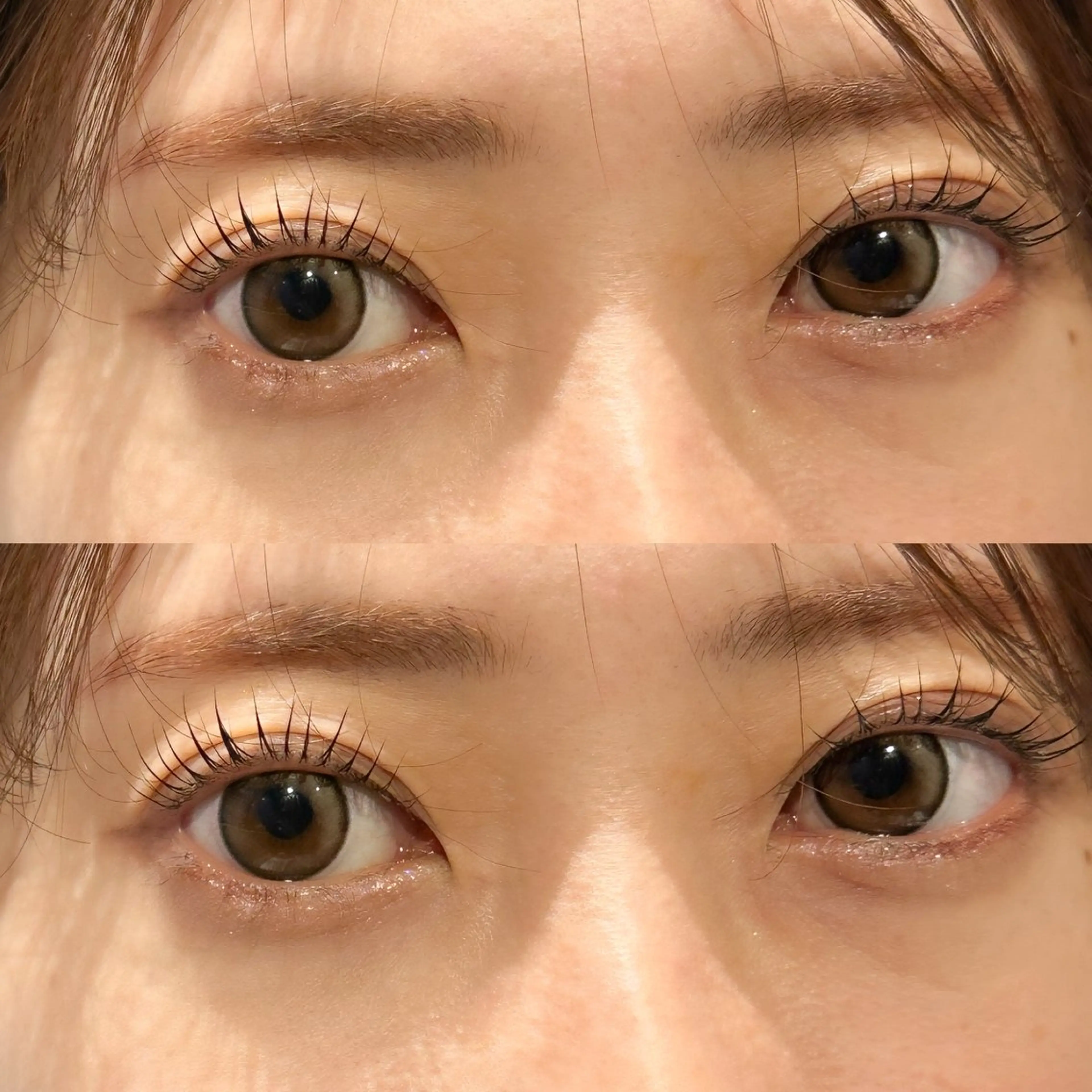 マツエク・マツパ 眉毛/パリジェンヌ/ hinata🌼の眉毛・アイブロウイメージ