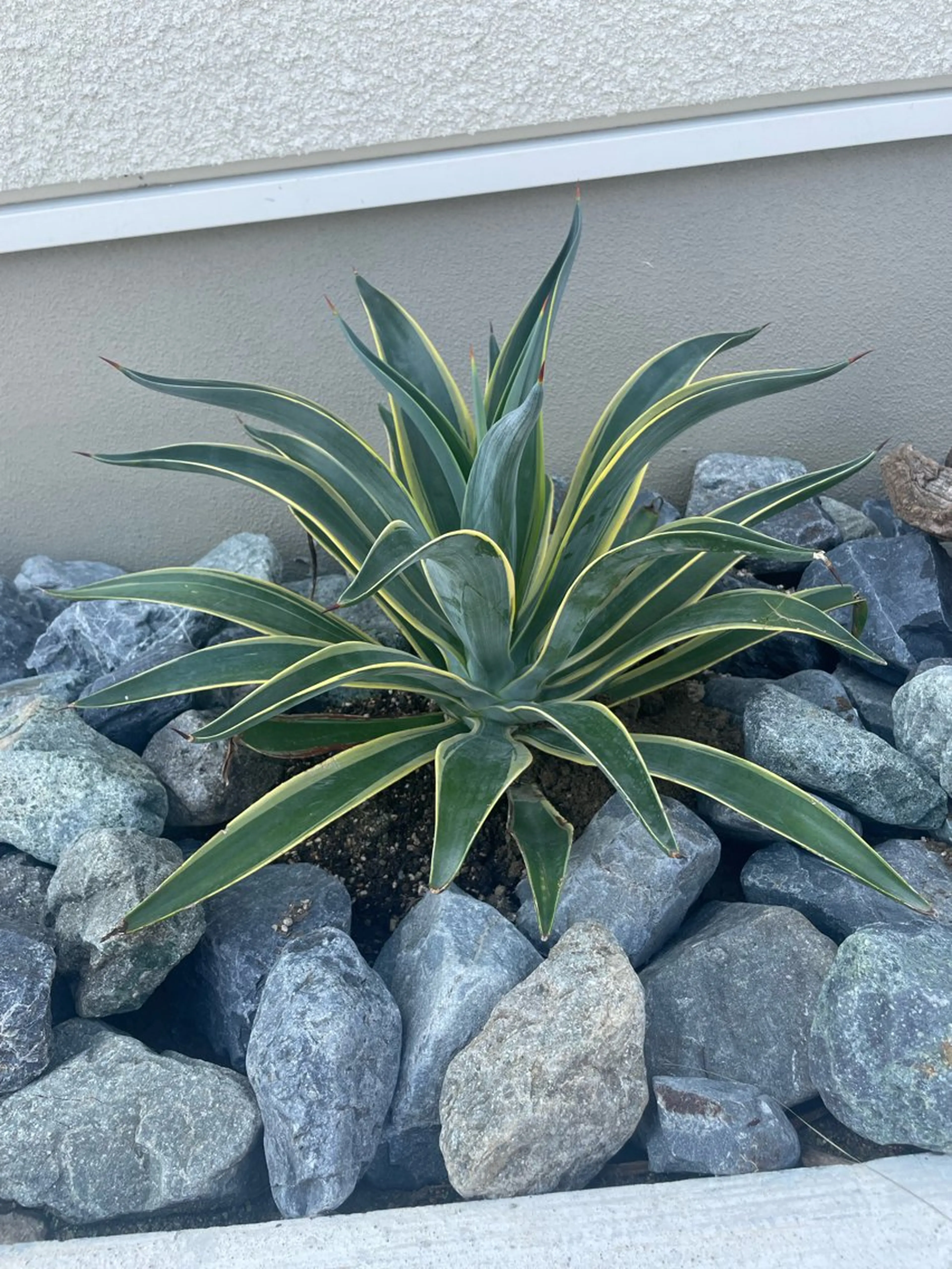 RITZ 髪質改善/ 清水のヘアスタイル