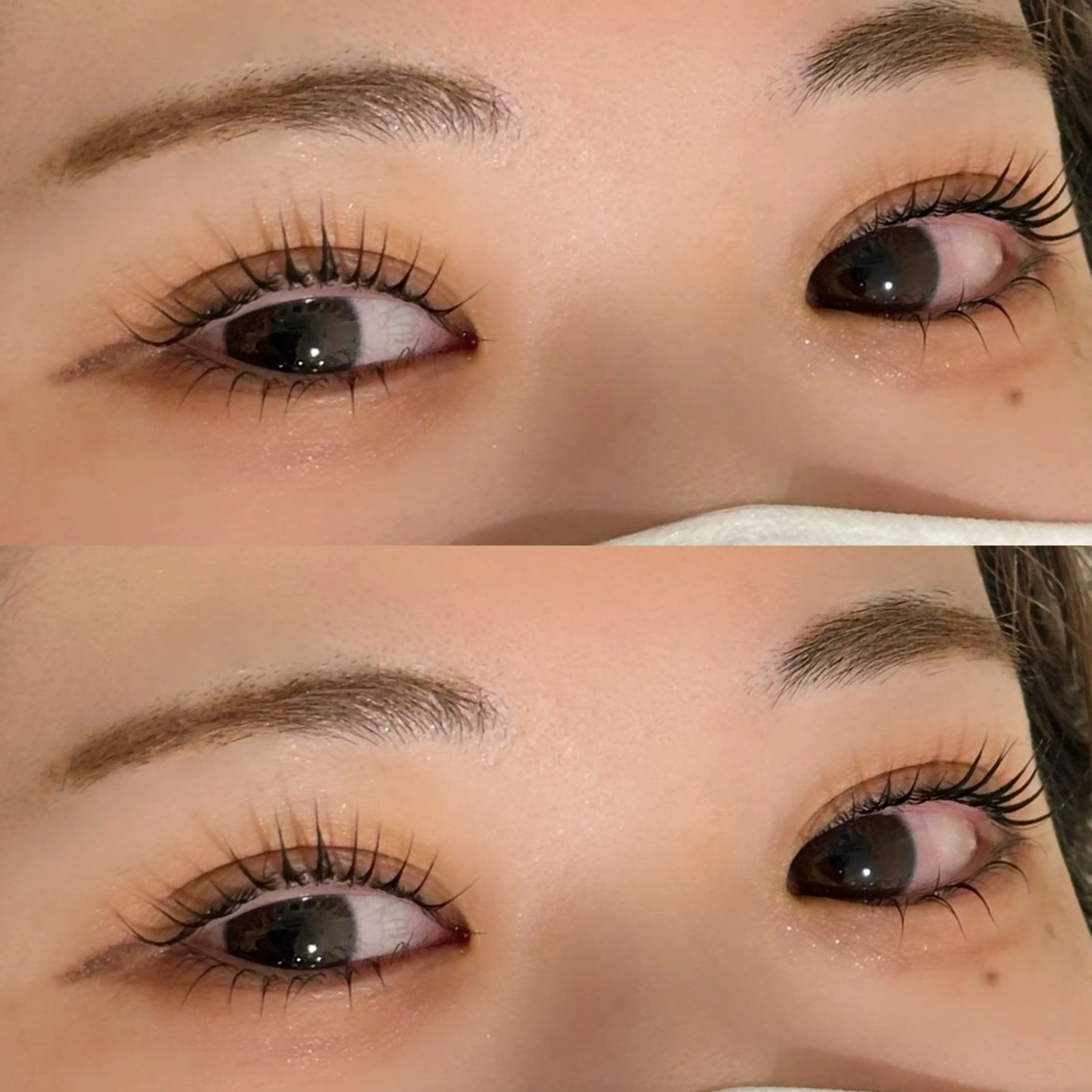 マツエク・マツパ Jカール ナチュラル PROGRESS Hoshina*のヘアスタイル