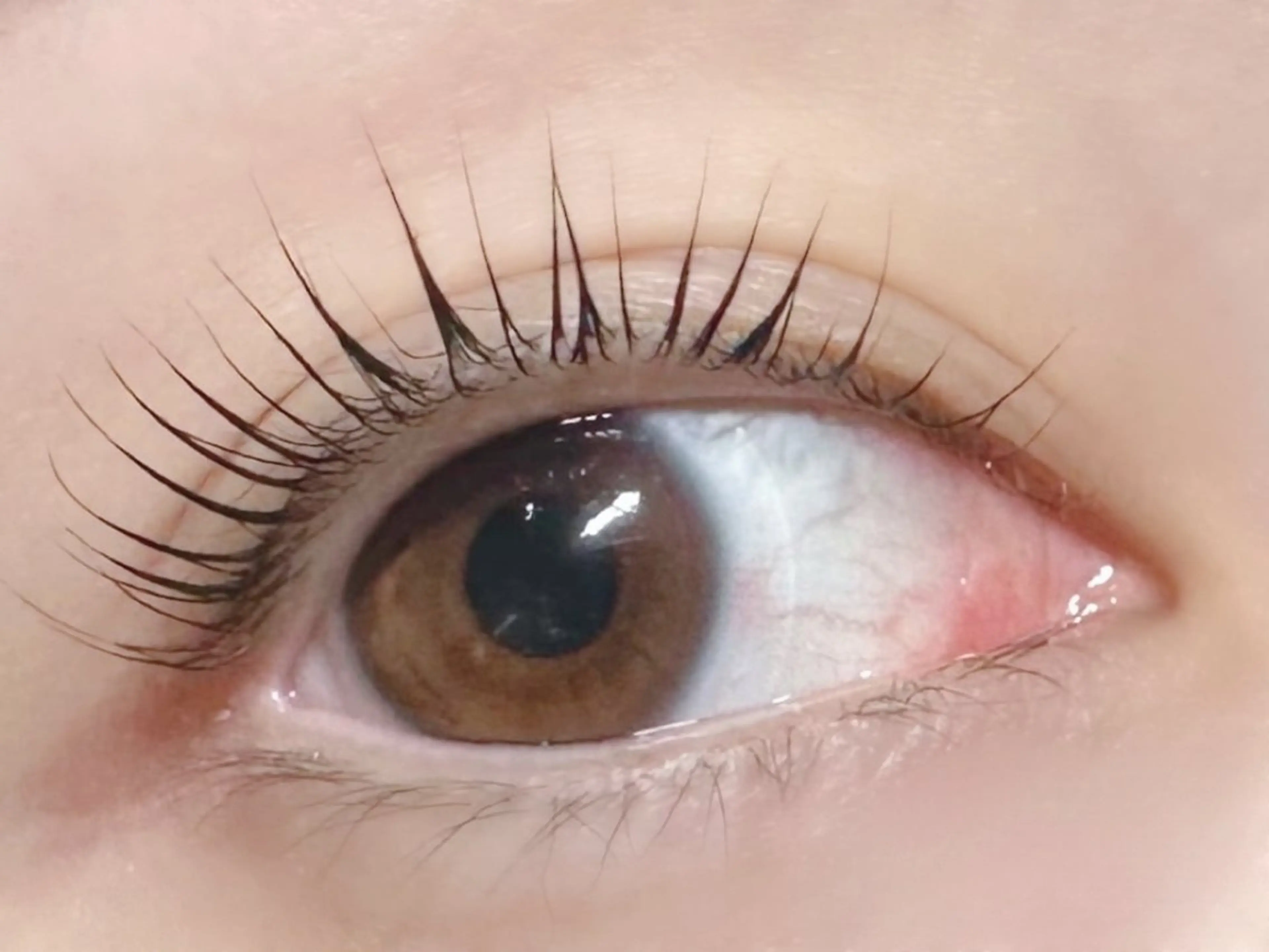 マツエク・マツパ ナチュラル まつげパーマ マツパ Emii Eyelash大通店所属・Emii Eyelash大通のマツエク・マツパデザイン