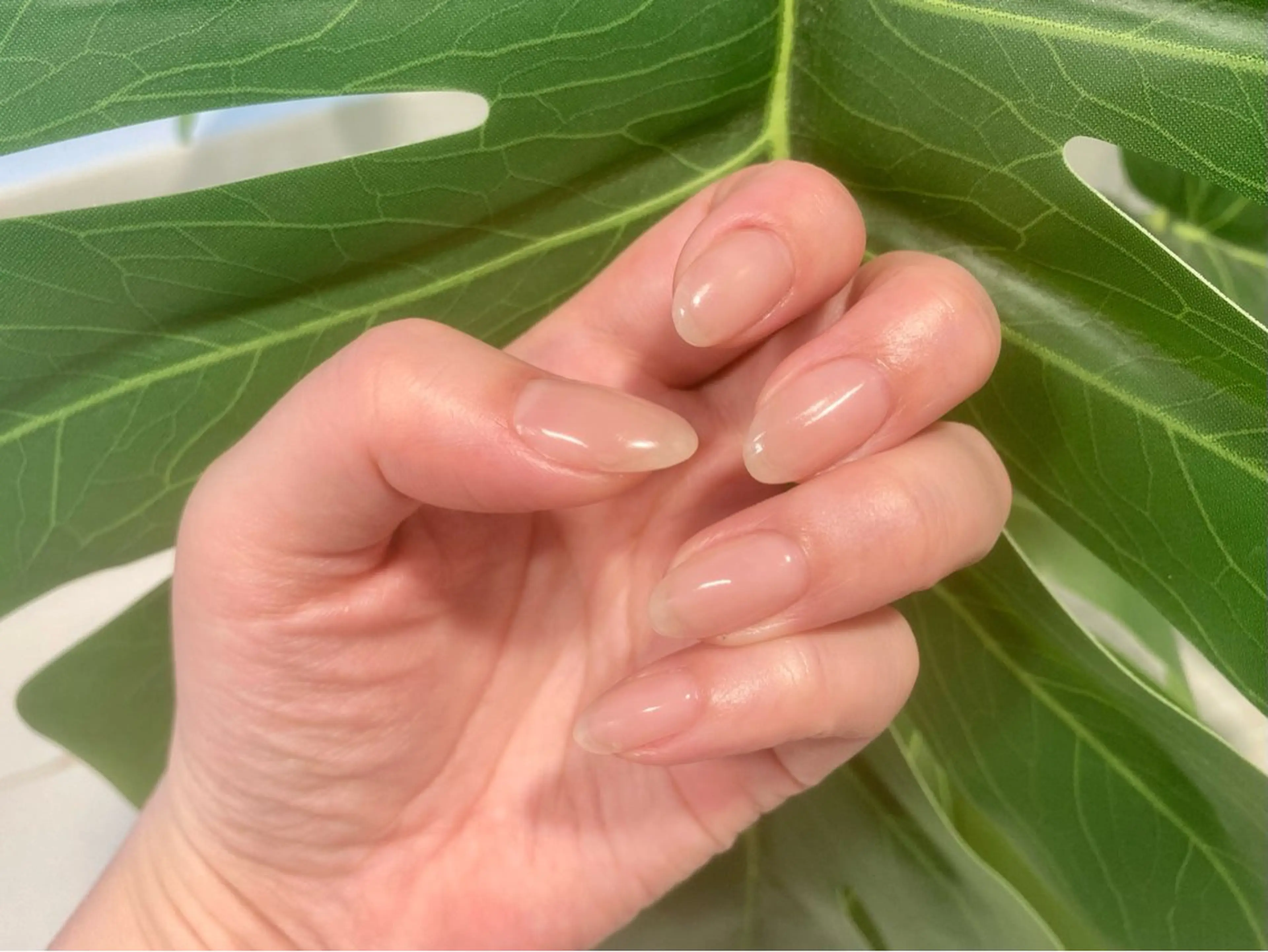 自爪のように薄くて自然なポリッシュジェル💅ビタミン・ケラチン・プロテイン配合のプロテクトベース使用の写真