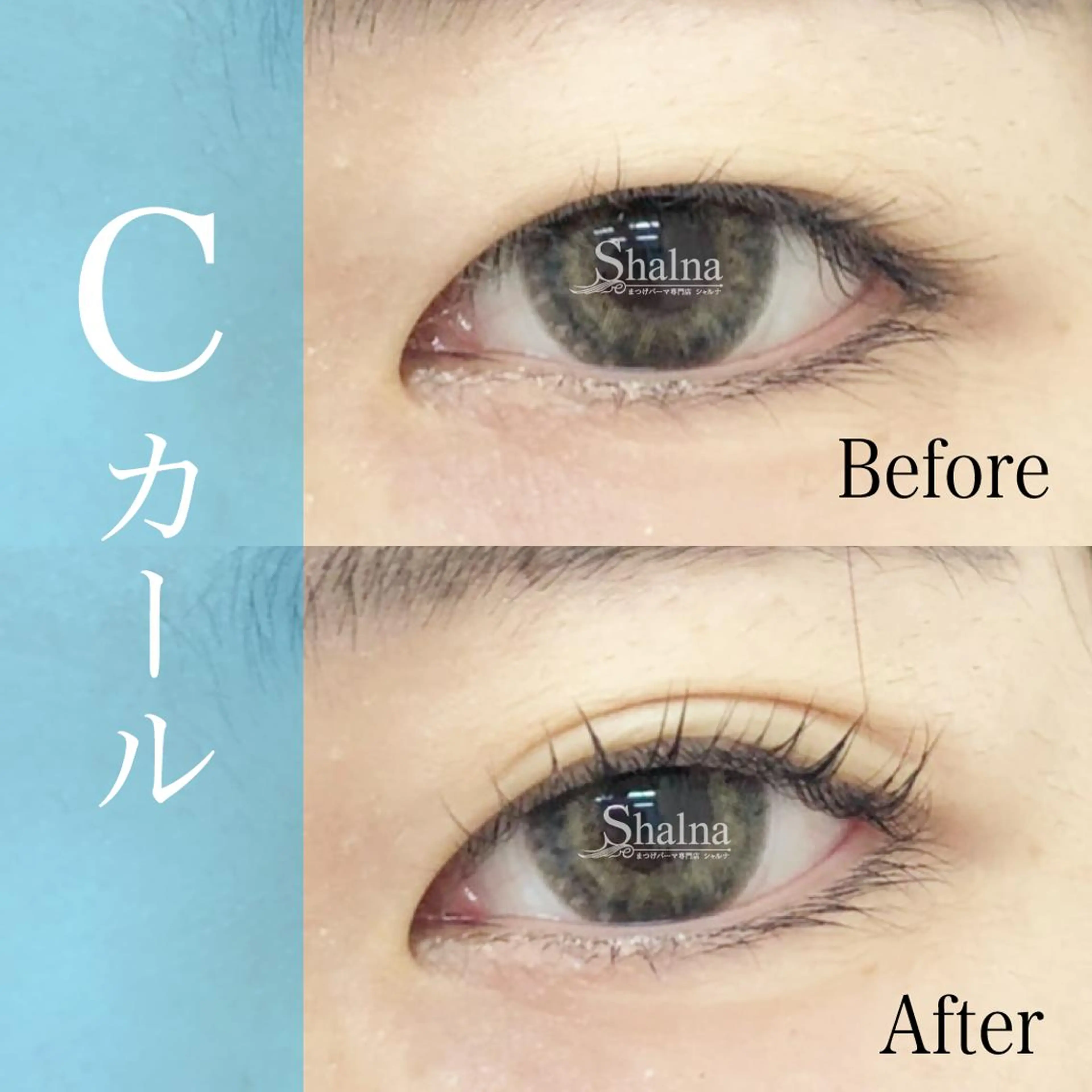 マツエク・マツパ Cカール ナチュラル まつげパーマ まつげパーマ専門店 シャルナ　上野店のマツエク・マツパデザイン