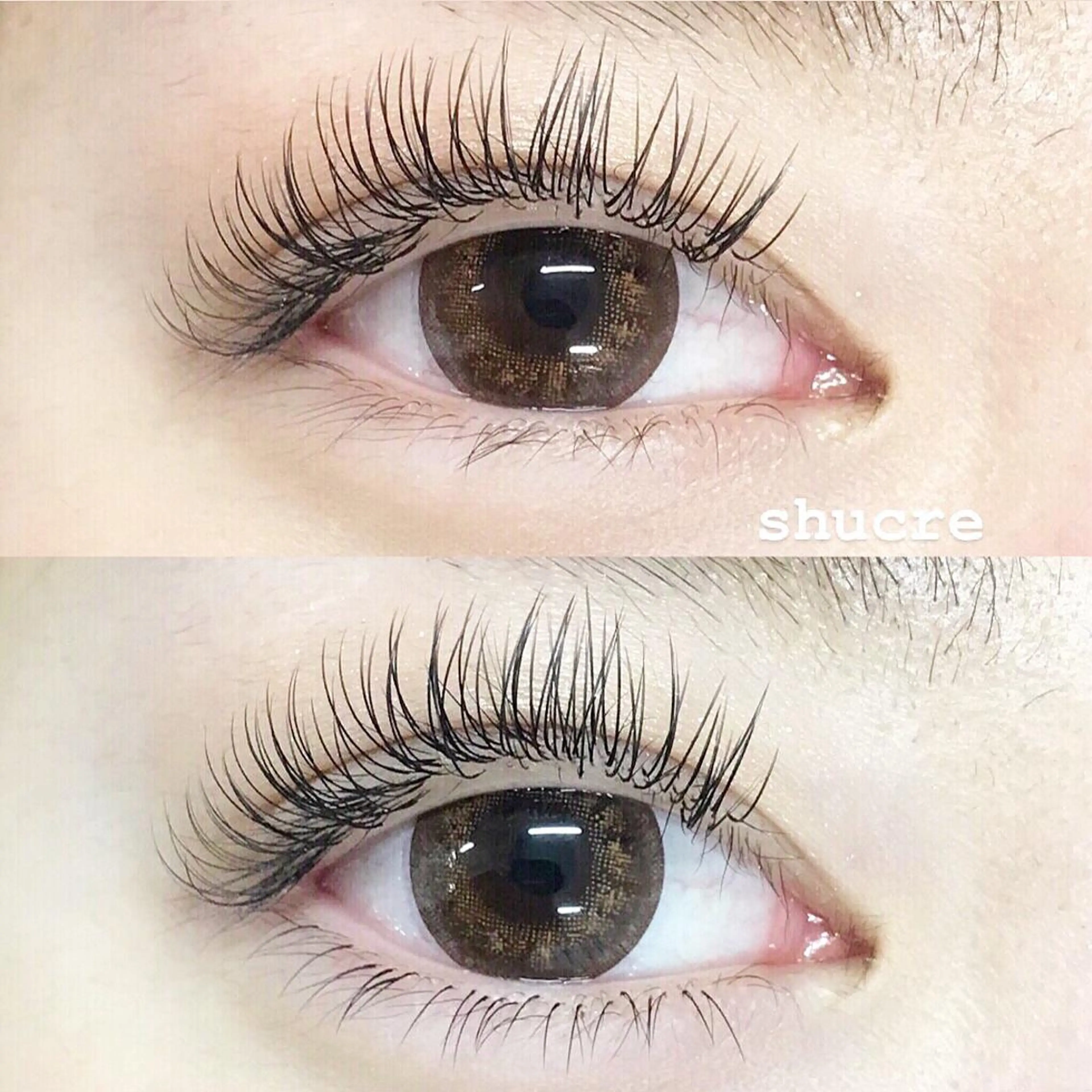 マツエク・マツパ miel eyelashのマツエク・マツパデザイン