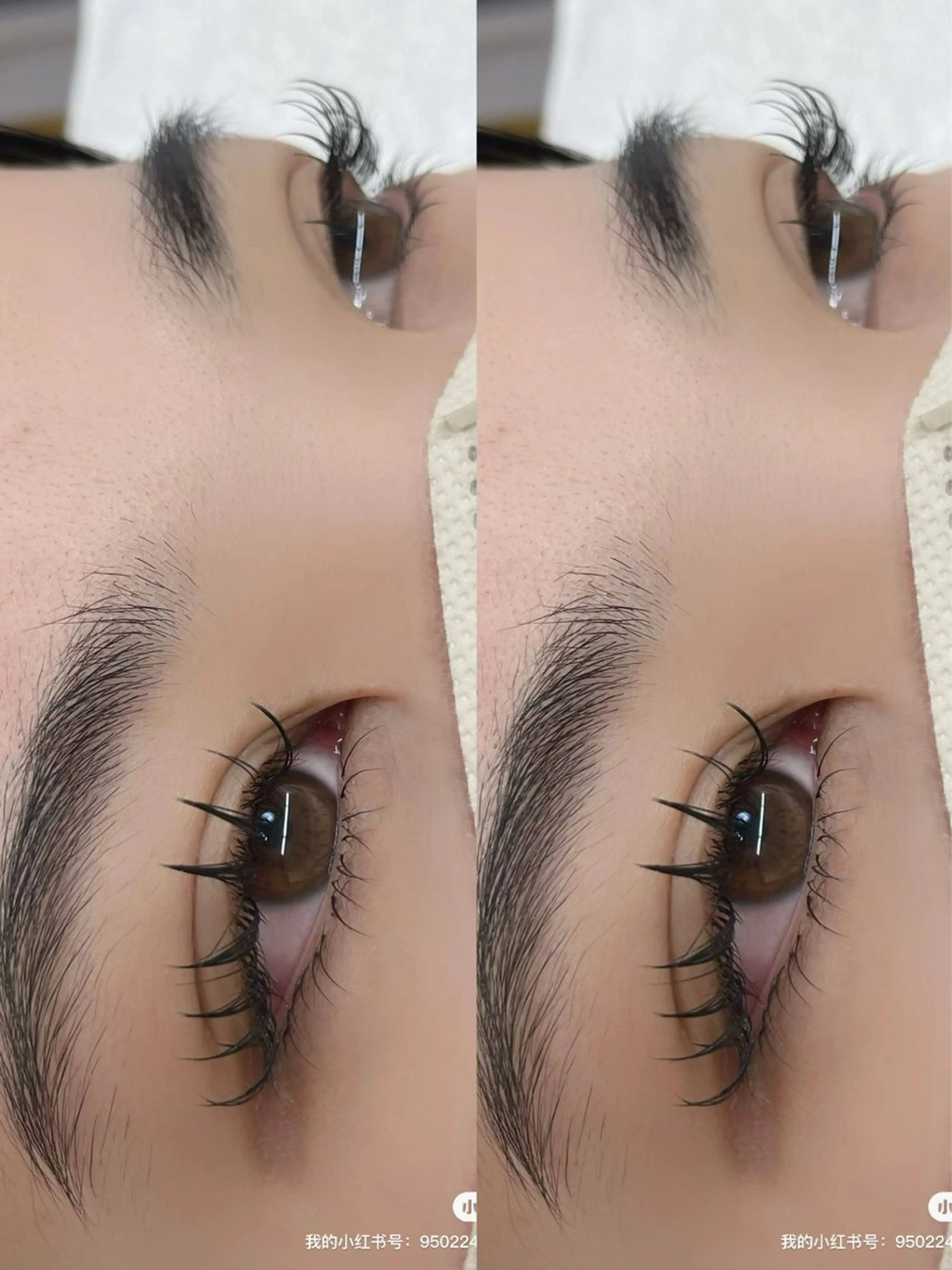 😊バインドロック60束😊アイバック無料＋コーティング付き✨新規オフ込み✨の写真