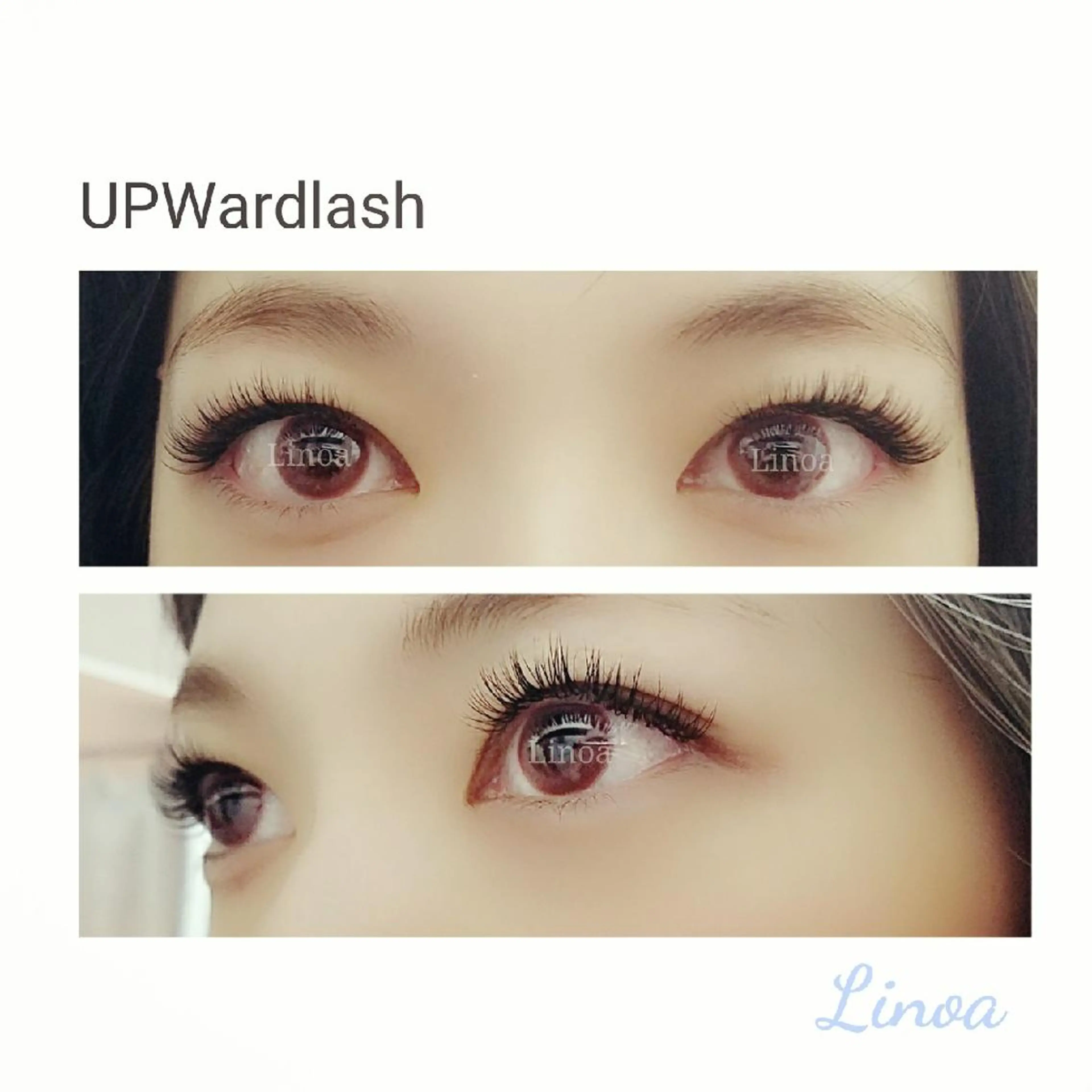 マツエク・マツパ 一重×まつ毛パーマ Linoa所属・恵比寿Linoa☪ 💆‍♀ISONO のマツエク・マツパデザイン