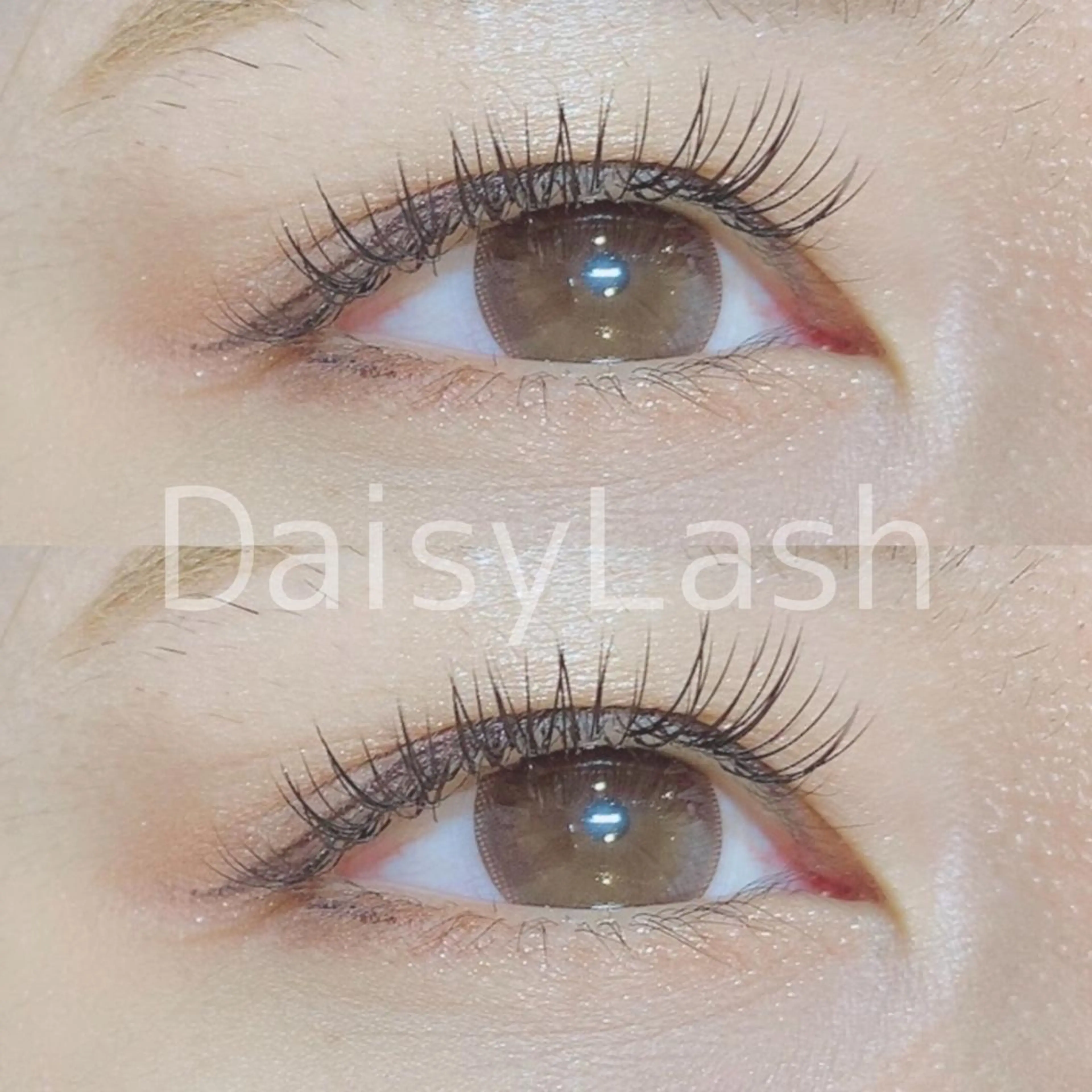マツエク・マツパ DaisyLash 京橋店のマツエク・マツパデザイン