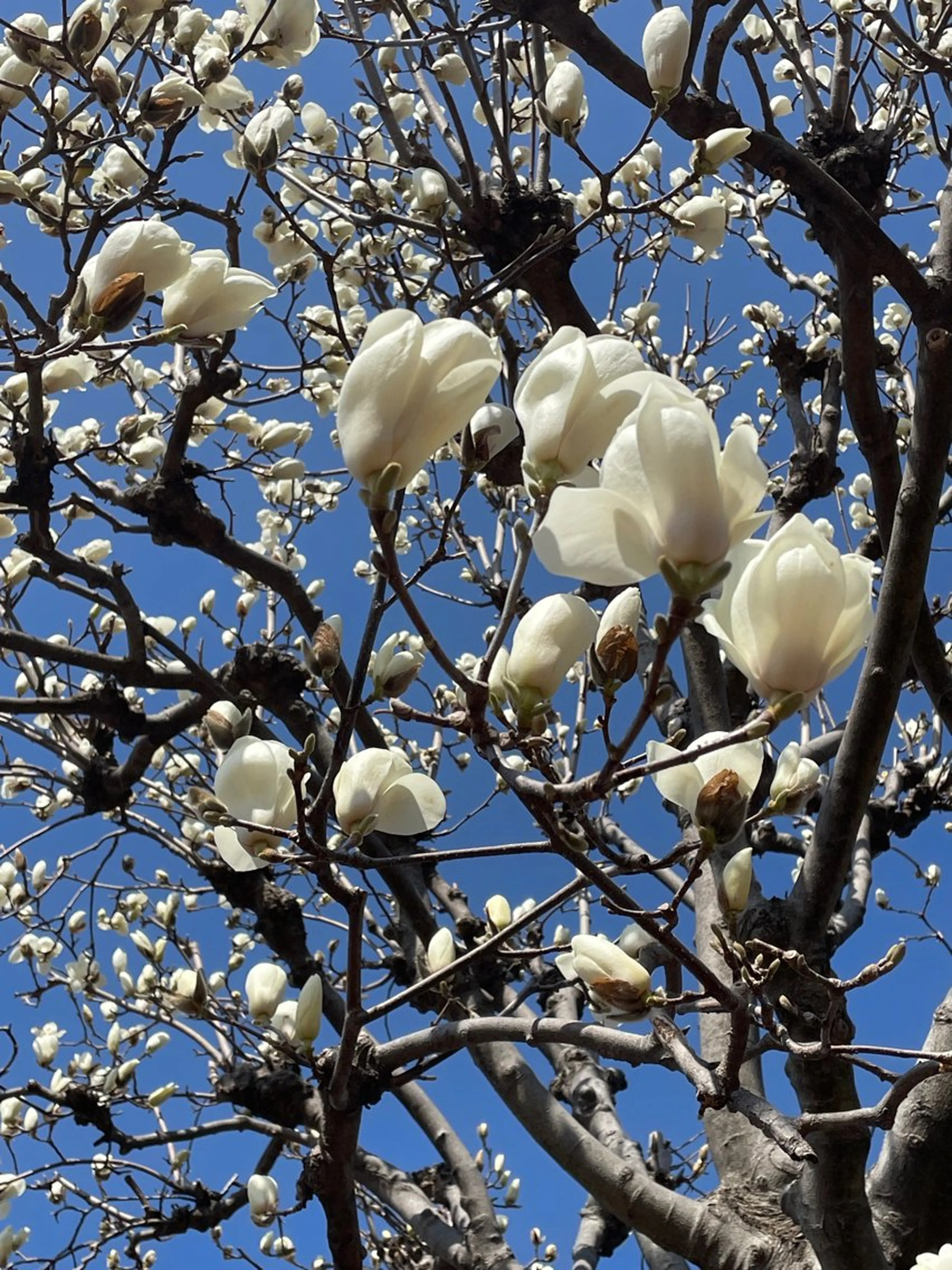 リラク プライベートサロン 花水月のエステ・リラクイメージ
