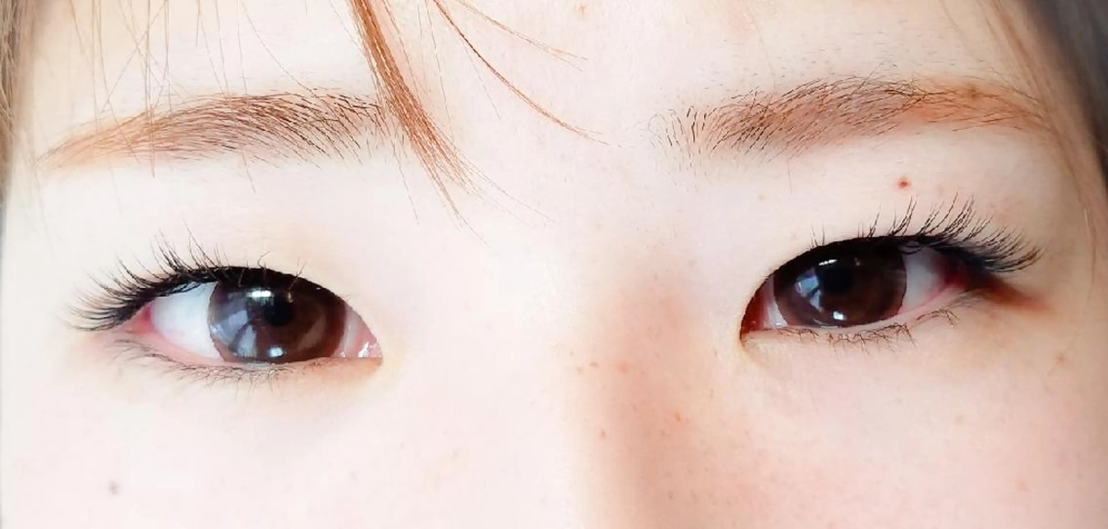 マツエク・マツパ アップワードラッシュ アイラッシュ コペル【Copel】所属・個室サロンcopel 　kishimotoのマツエク・マツパデザイン