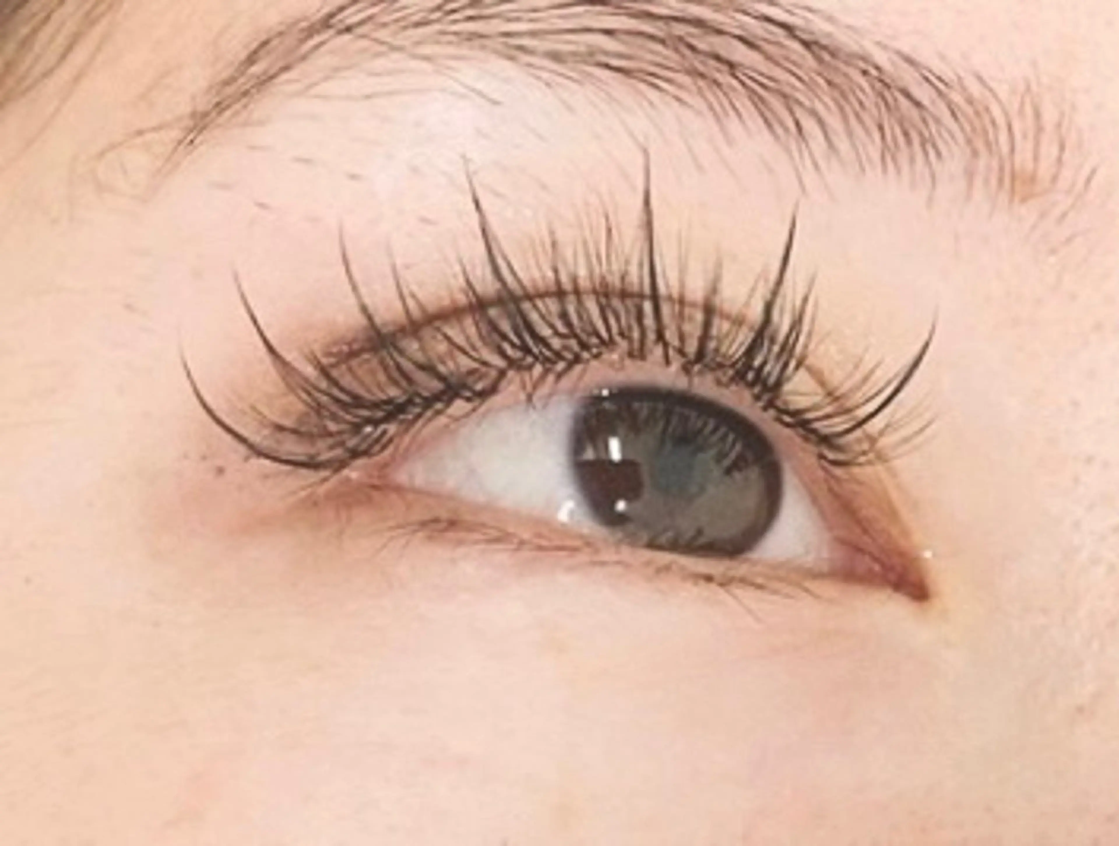 撮影モデルさん募集♪ワンホンエクステ150本(9:30​〜​16:00限定)の写真