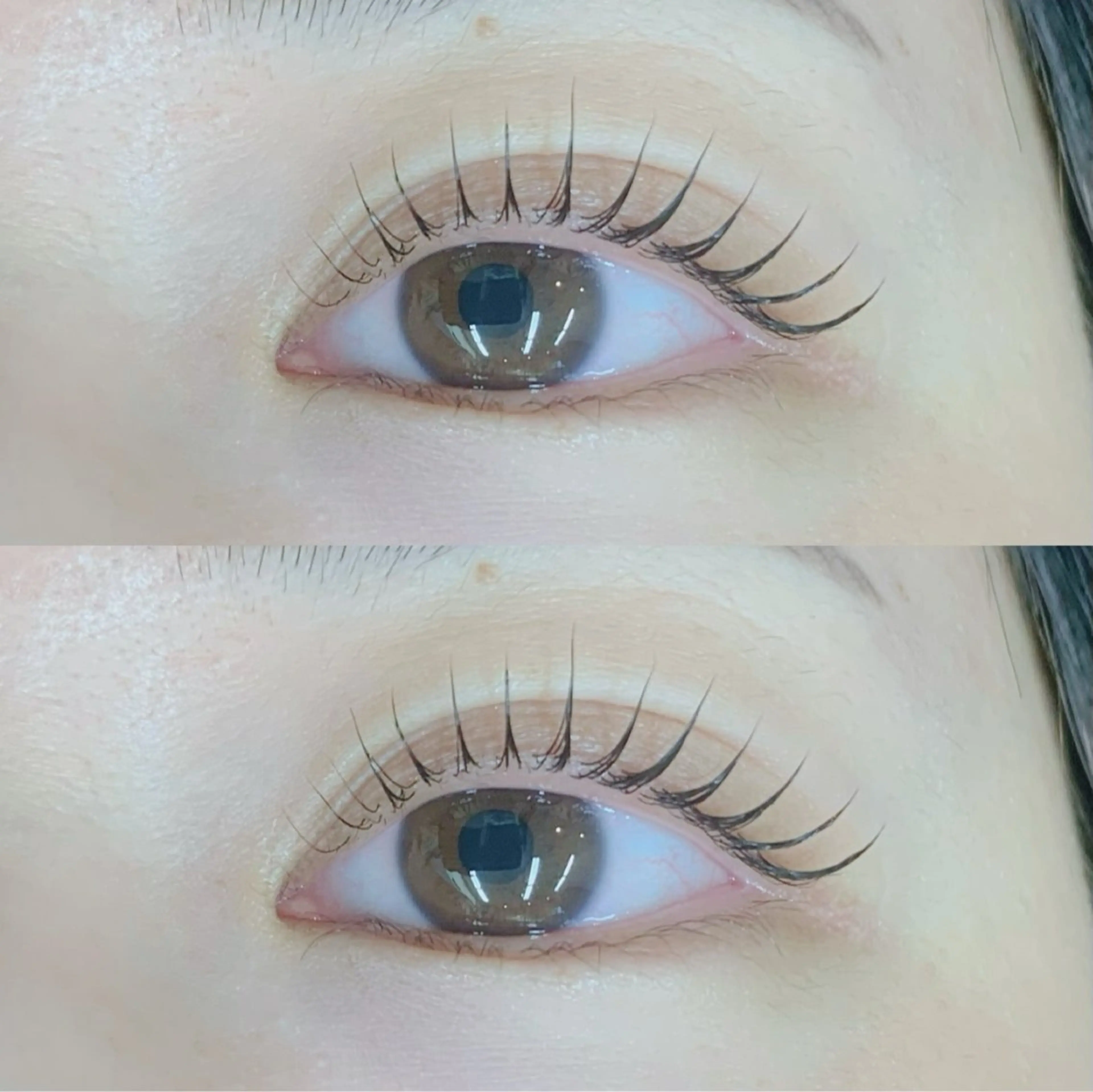 🌼まつ毛パーマ¥4,950の写真