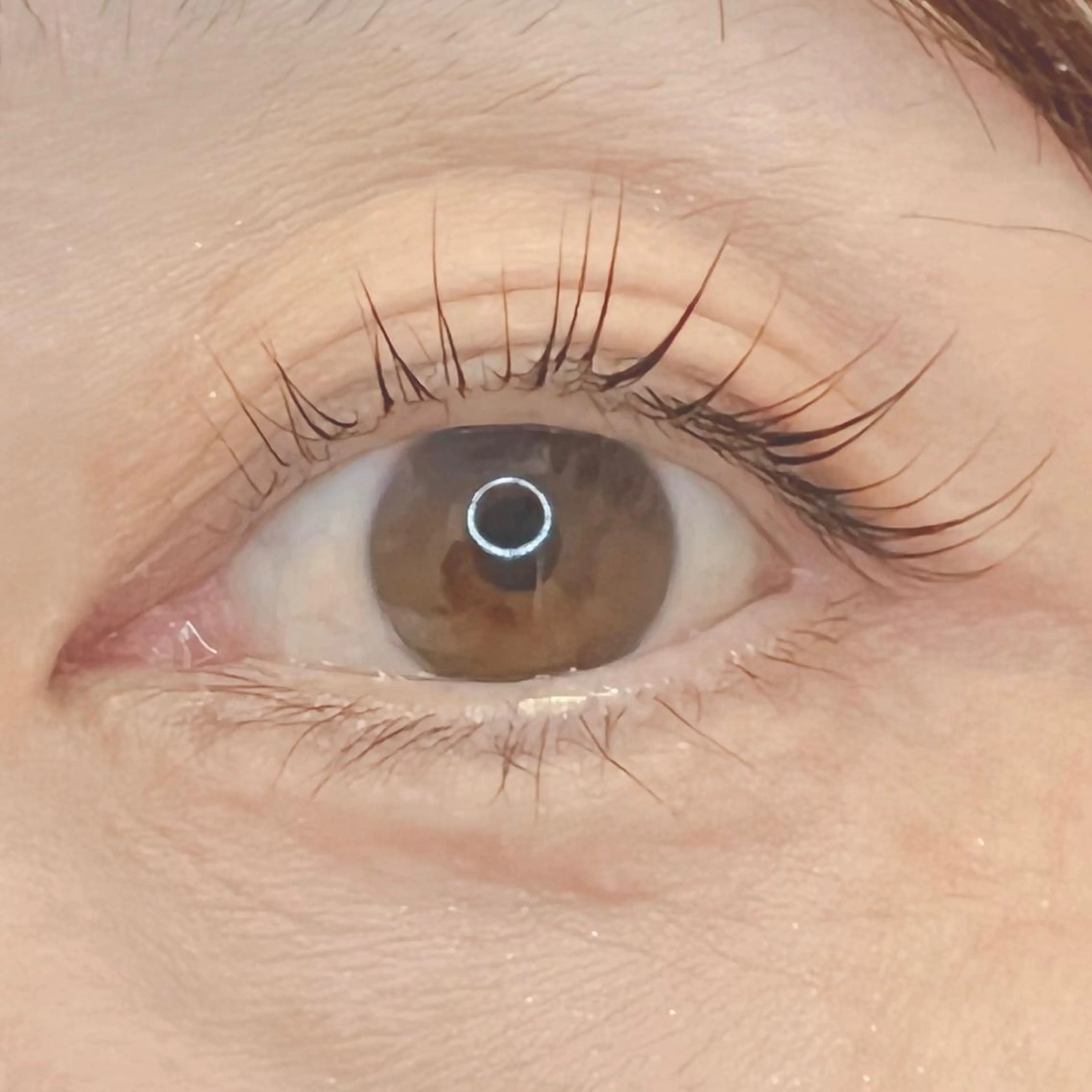 マツエク・マツパ JESSICA荻窪 川窪のマツエク・マツパデザイン