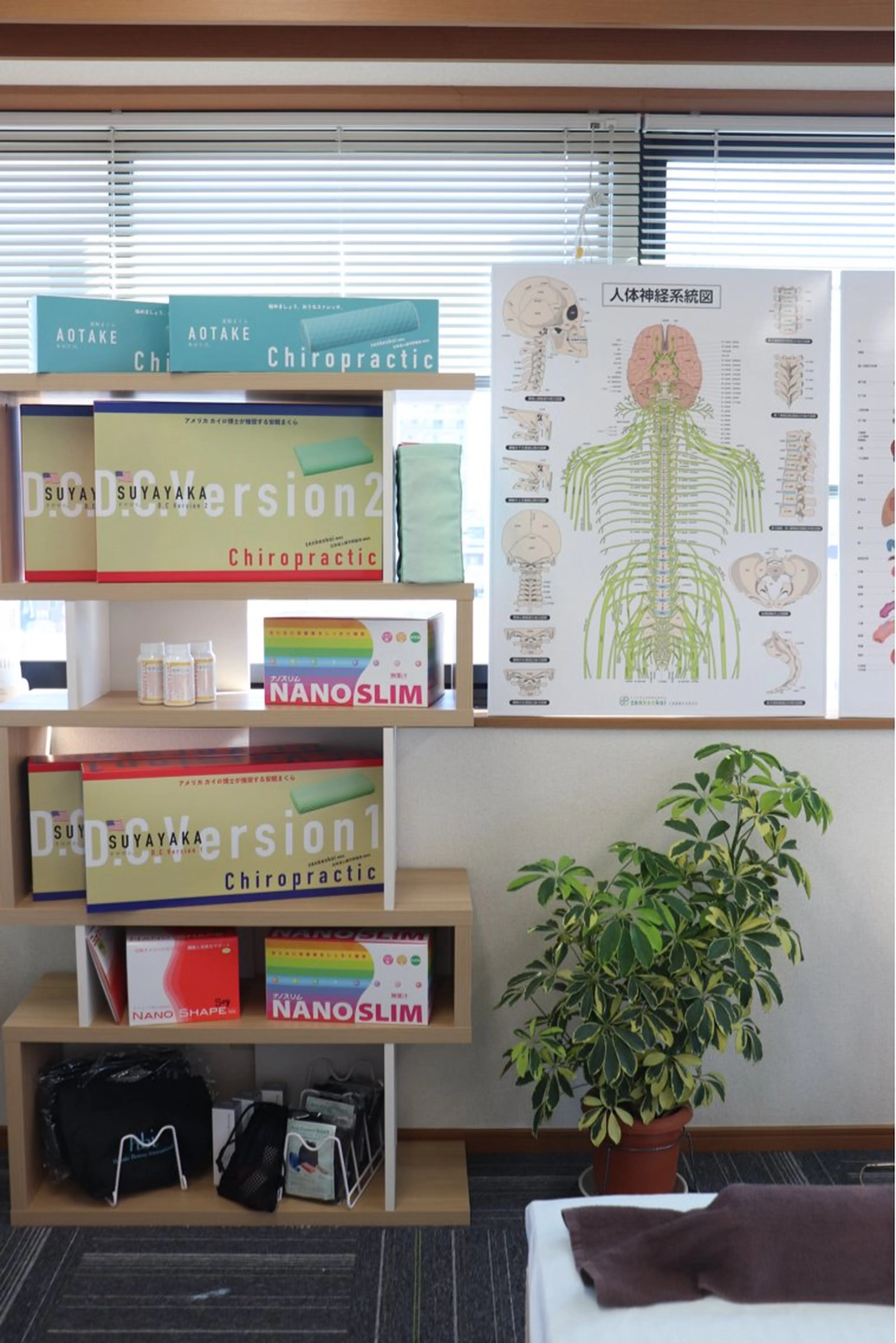 カイロプラクティック Salute所属・IIDA YASUHAのエステ・リラクイメージ