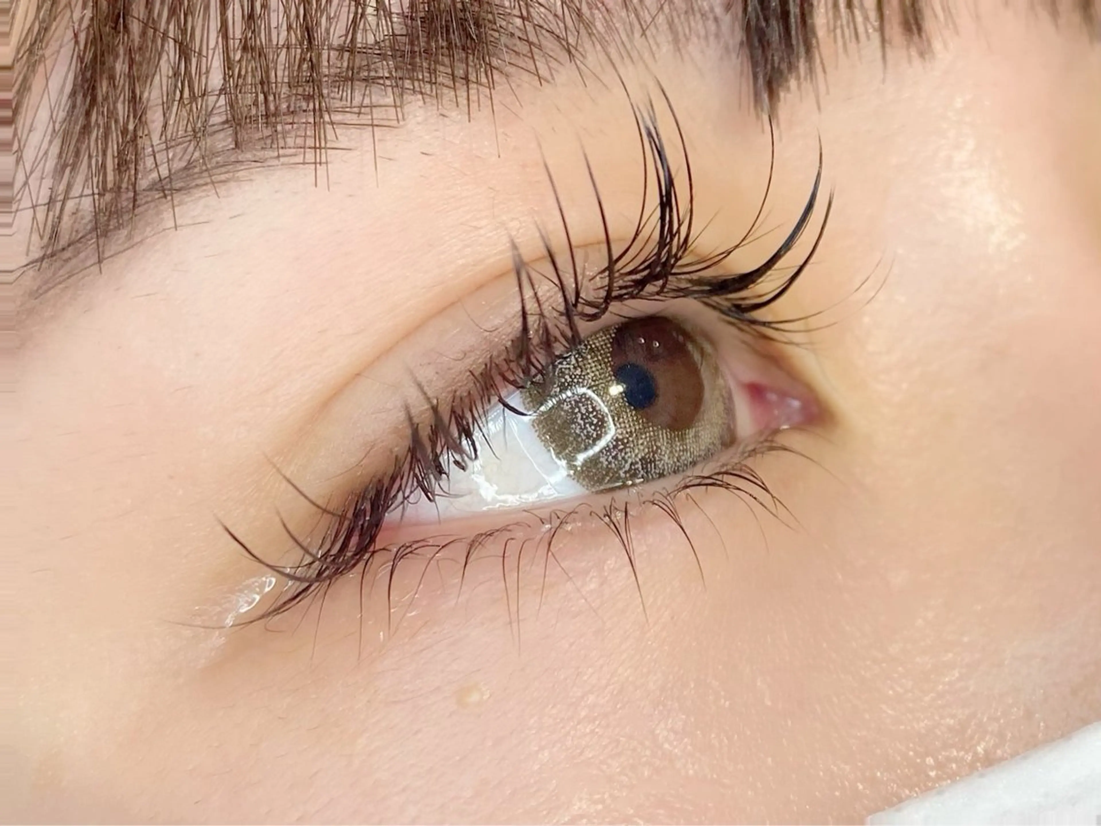 マツエク・マツパ まつげパーマ 下まつげエクステ eyelashplan阪急高槻店所属・plan阪急高槻店 🌻さき🌻のマツエク・マツパデザイン