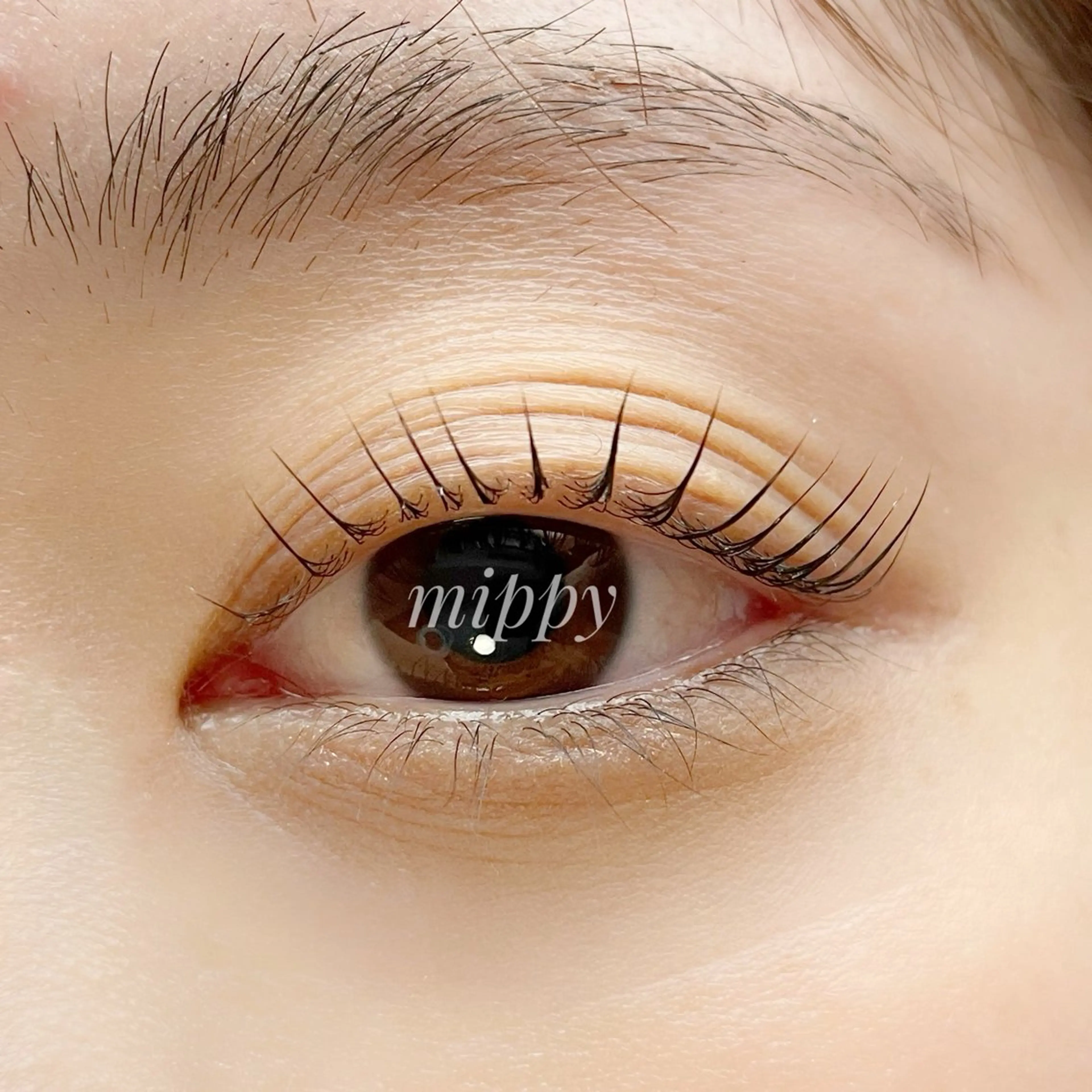 マツエク・マツパ マツパ ｍｉｐｐｙ 🪽のマツエク・マツパデザイン